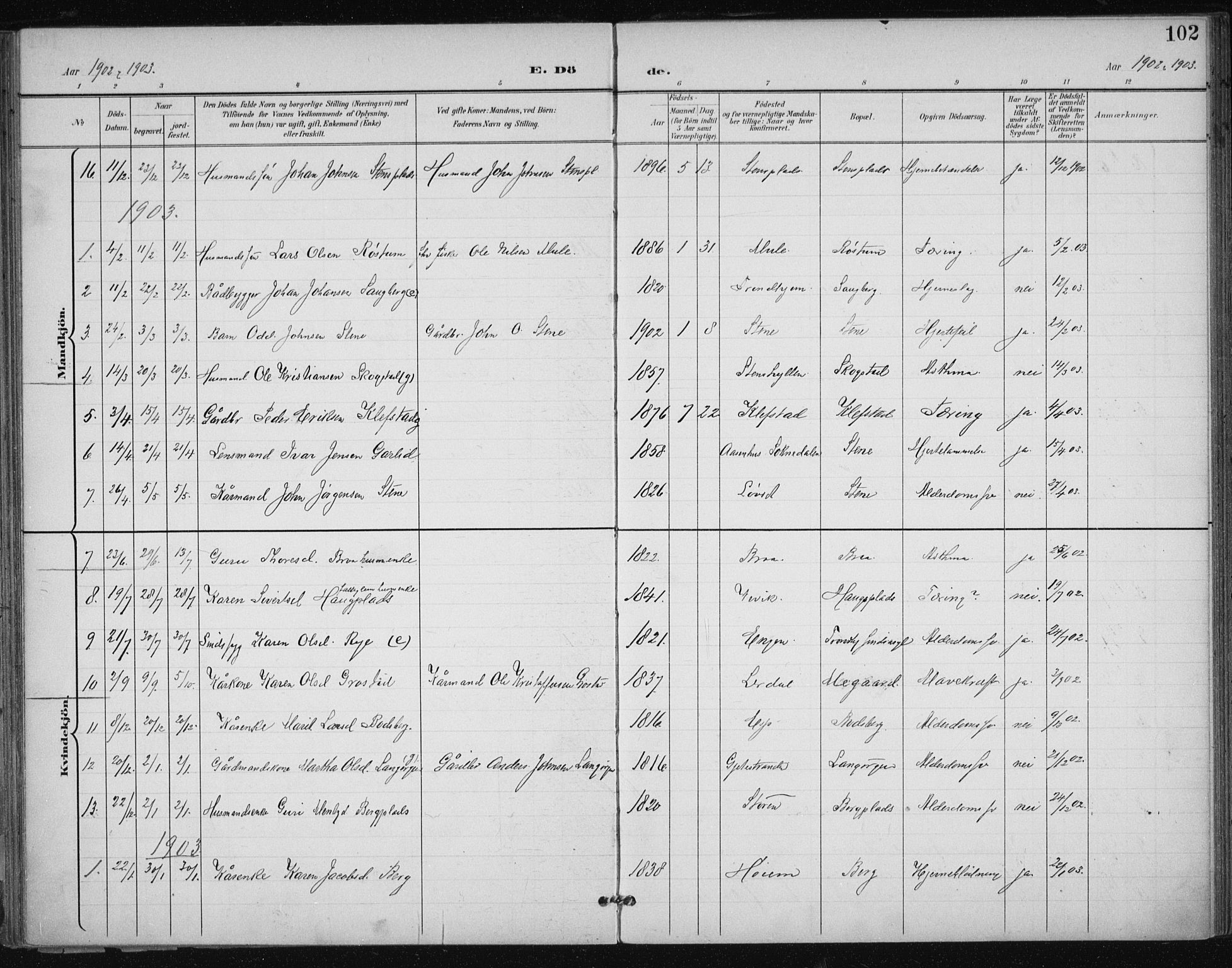 Ministerialprotokoller, klokkerbøker og fødselsregistre - Sør-Trøndelag, SAT/A-1456/612/L0380: Parish register (official) no. 612A12, 1898-1907, p. 102