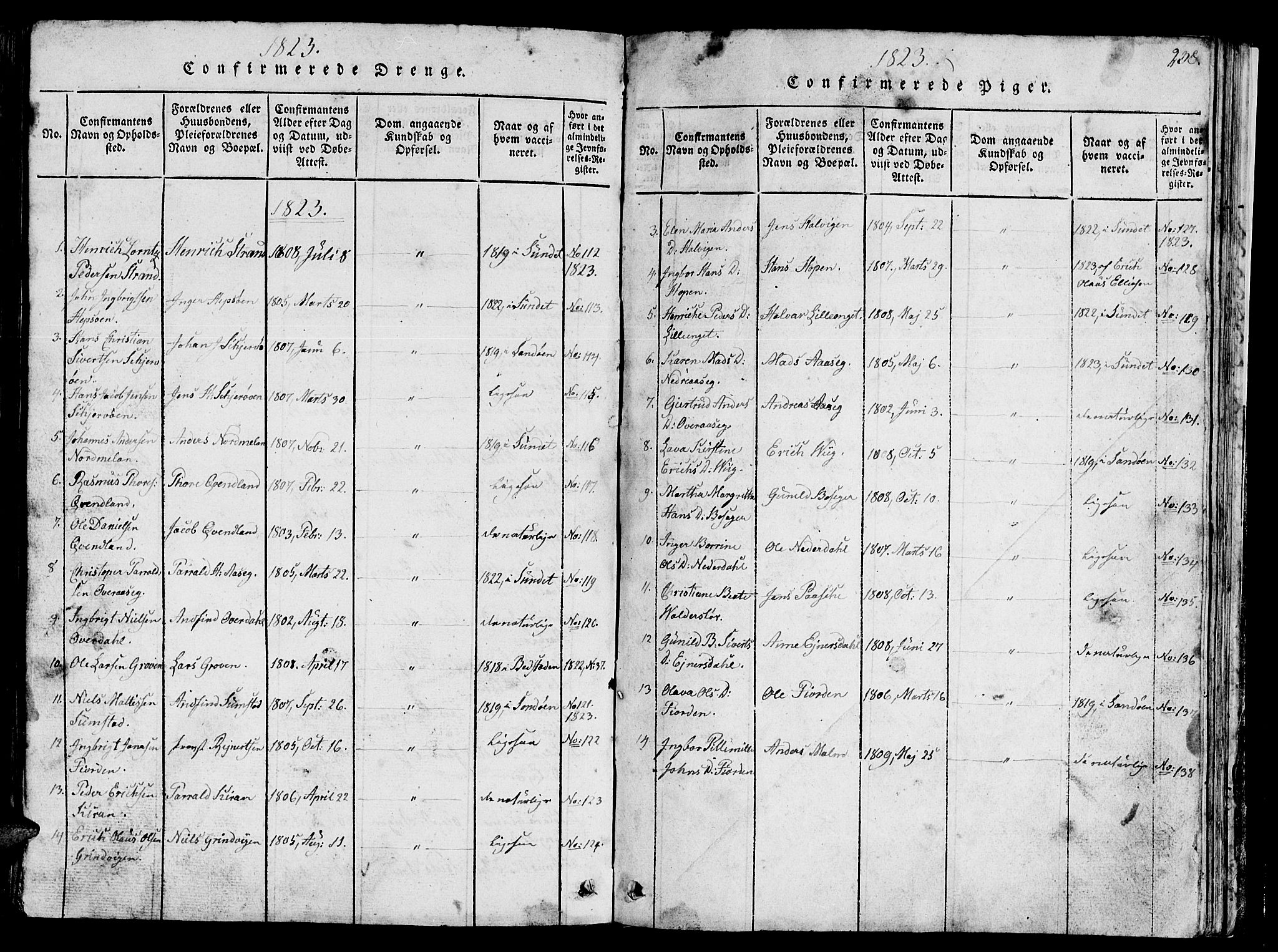 Ministerialprotokoller, klokkerbøker og fødselsregistre - Sør-Trøndelag, AV/SAT-A-1456/657/L0714: Parish register (copy) no. 657C01, 1818-1868, p. 238