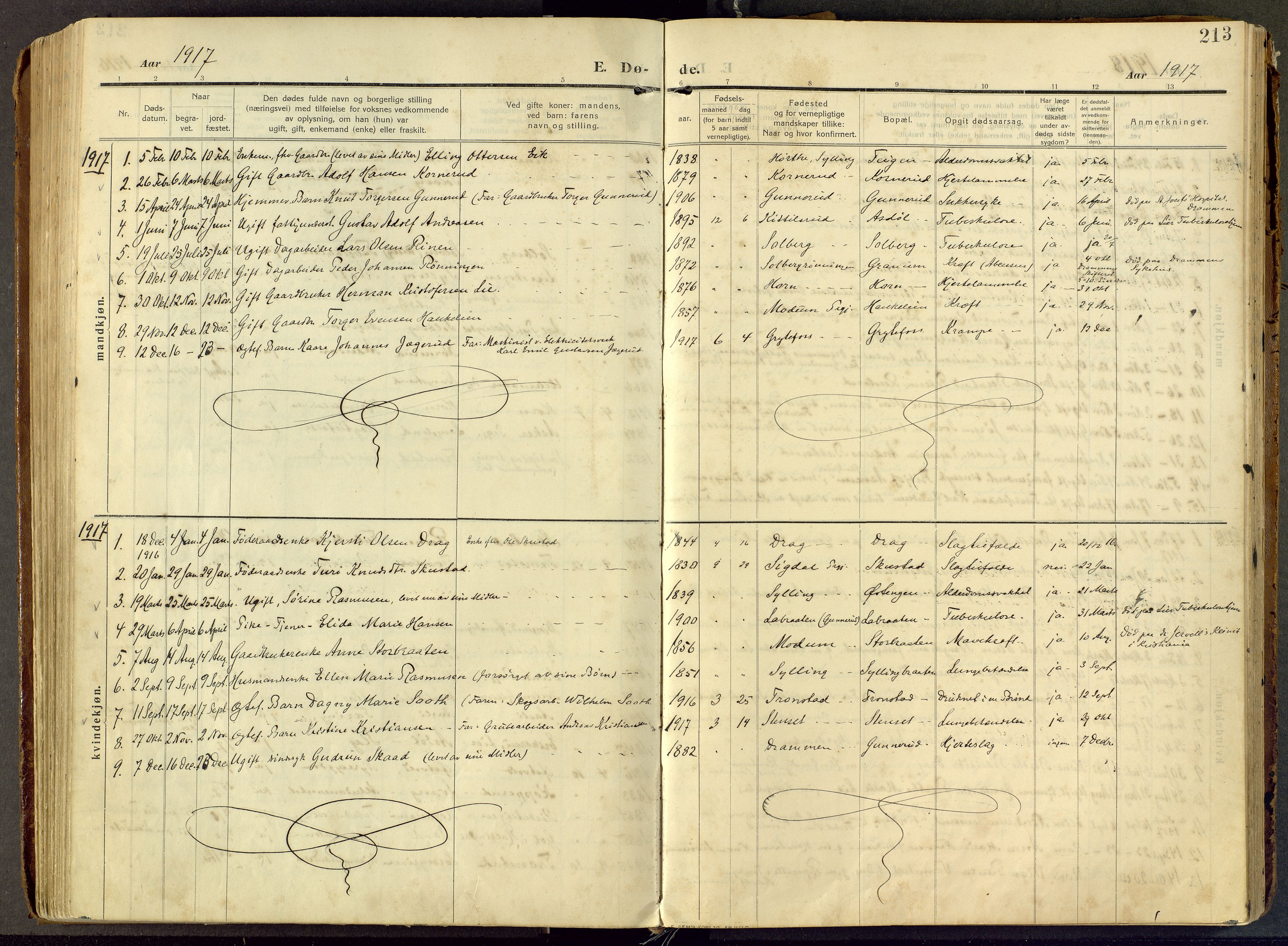 Lier kirkebøker, AV/SAKO-A-230/F/Fc/L0001: Parish register (official) no. III 1, 1906-1936, p. 213