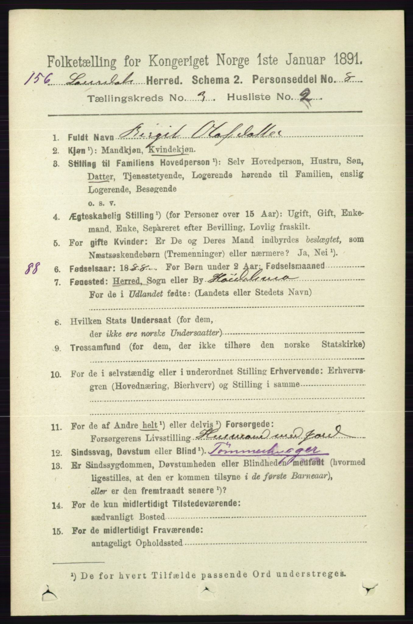 RA, 1891 census for 0833 Lårdal, 1891, p. 817