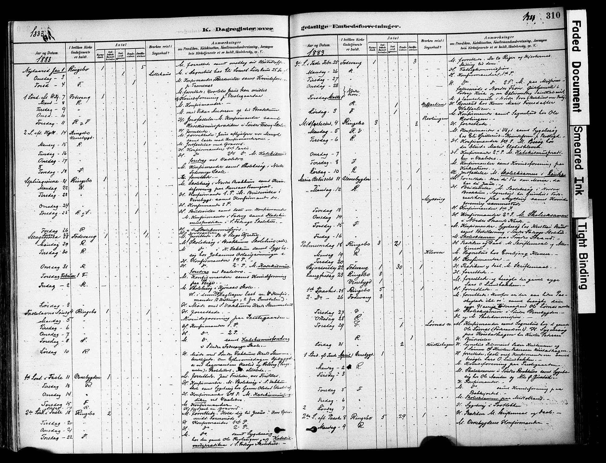 Ringebu prestekontor, SAH/PREST-082/H/Ha/Haa/L0008: Parish register (official) no. 8, 1878-1898, p. 310