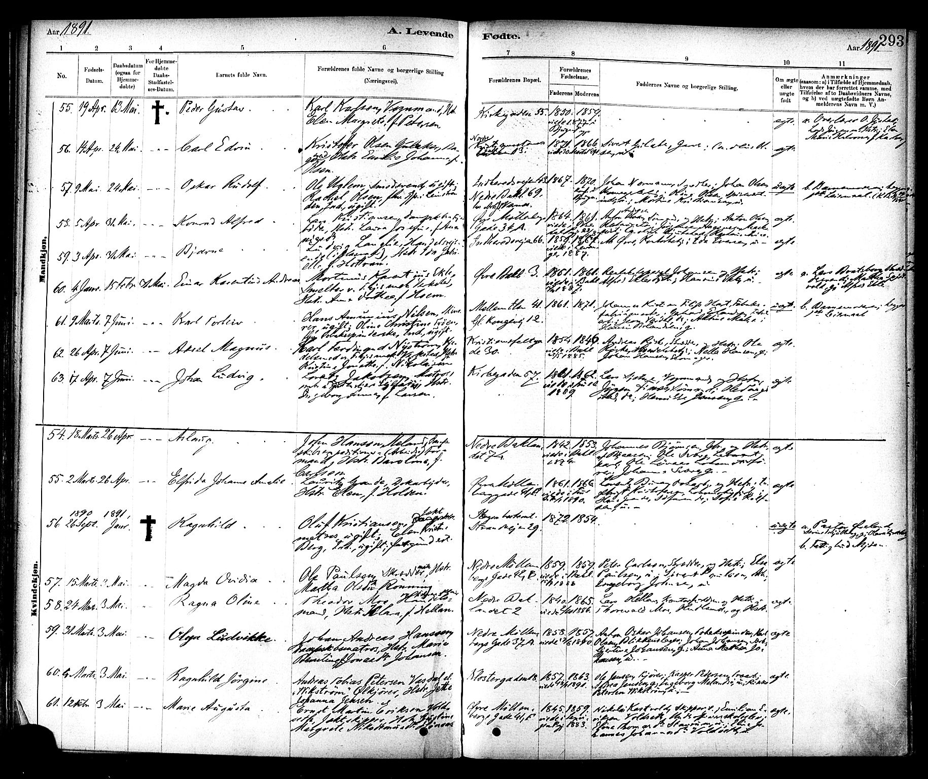Ministerialprotokoller, klokkerbøker og fødselsregistre - Sør-Trøndelag, SAT/A-1456/604/L0188: Parish register (official) no. 604A09, 1878-1892, p. 293