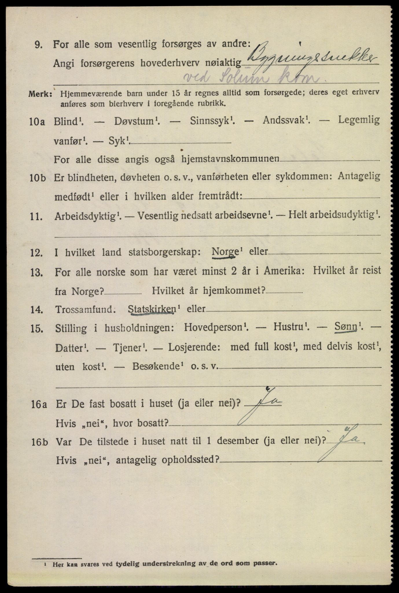 SAKO, 1920 census for Solum, 1920, p. 15341