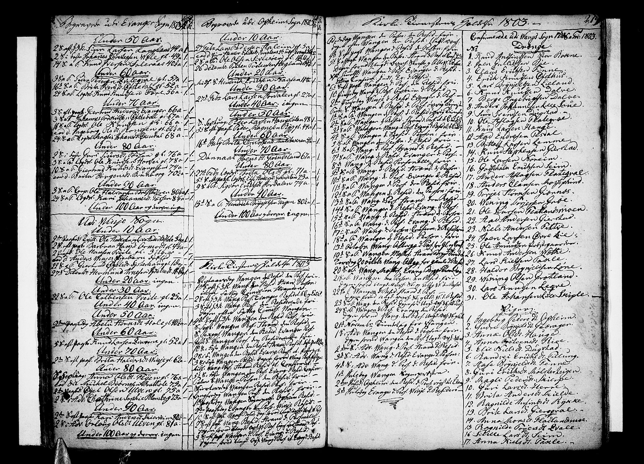 Voss sokneprestembete, SAB/A-79001/H/Haa: Parish register (official) no. A 9, 1780-1810, p. 219