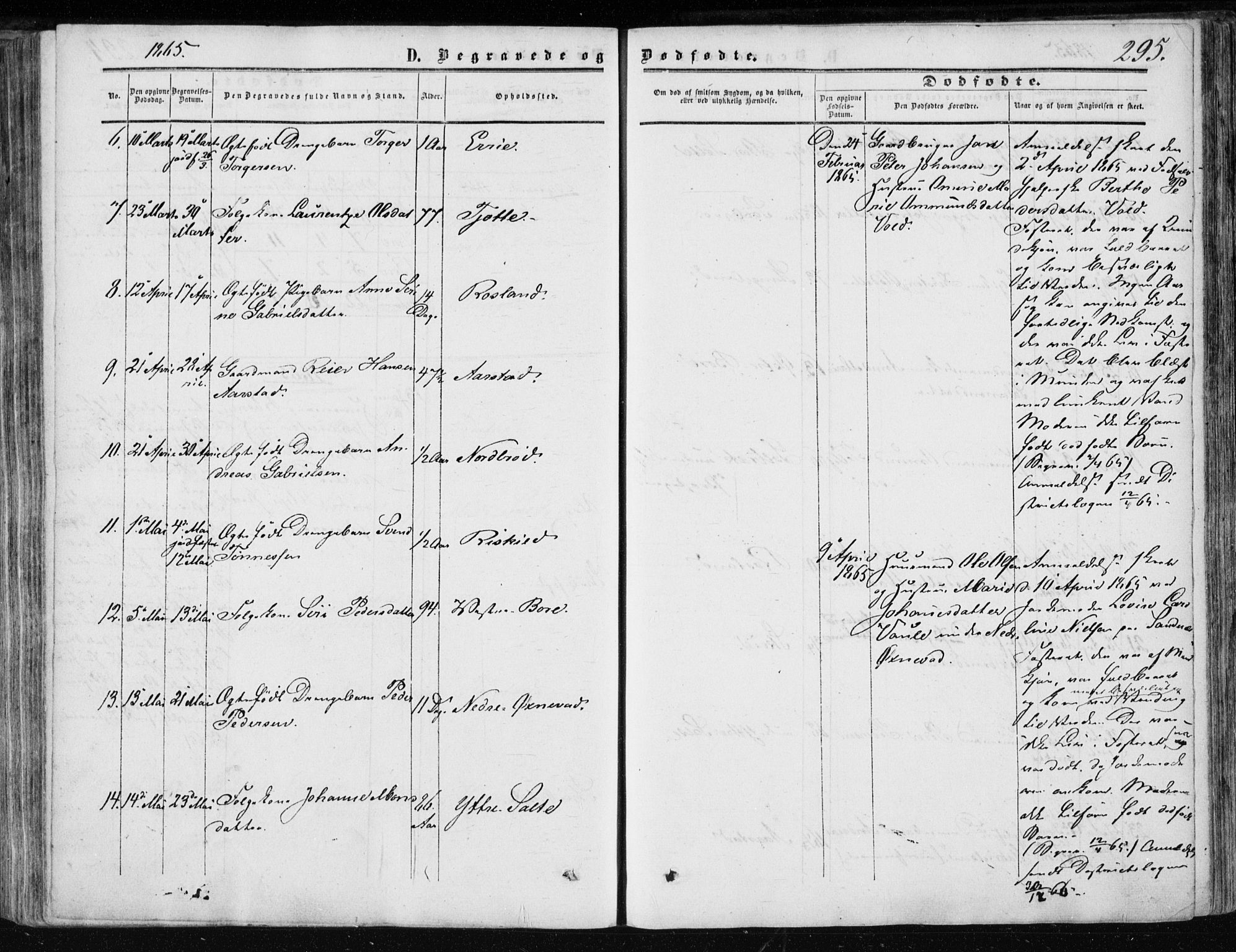 Klepp sokneprestkontor, SAST/A-101803/001/3/30BA/L0005: Parish register (official) no. A 5, 1853-1870, p. 295