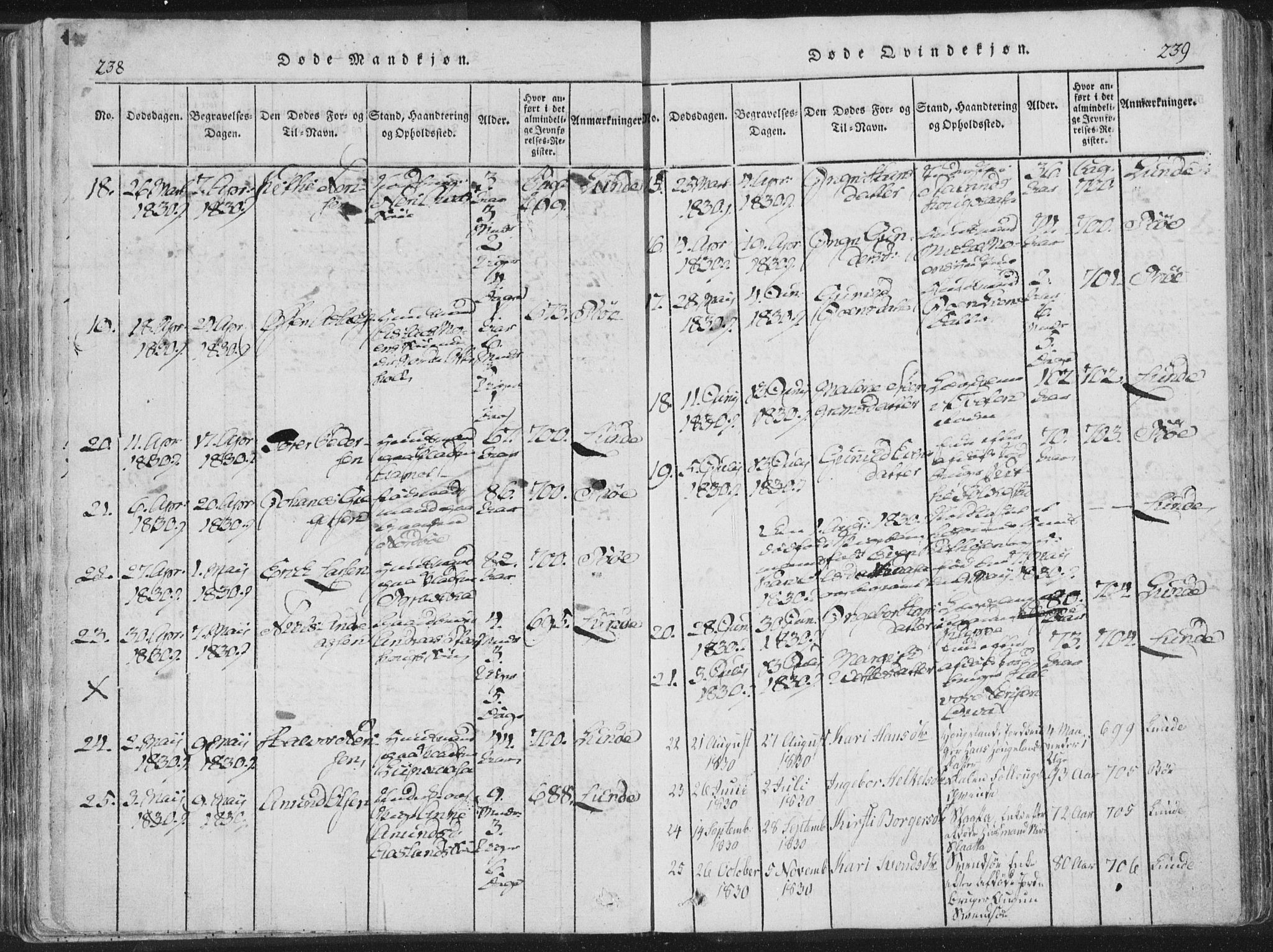 Bø kirkebøker, SAKO/A-257/F/Fa/L0006: Parish register (official) no. 6, 1815-1831, p. 238-239
