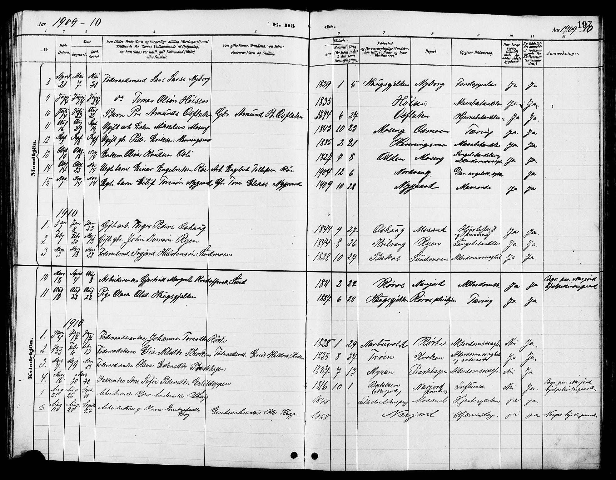 Tolga prestekontor, AV/SAH-PREST-062/L/L0008: Parish register (copy) no. 8, 1887-1912, p. 197