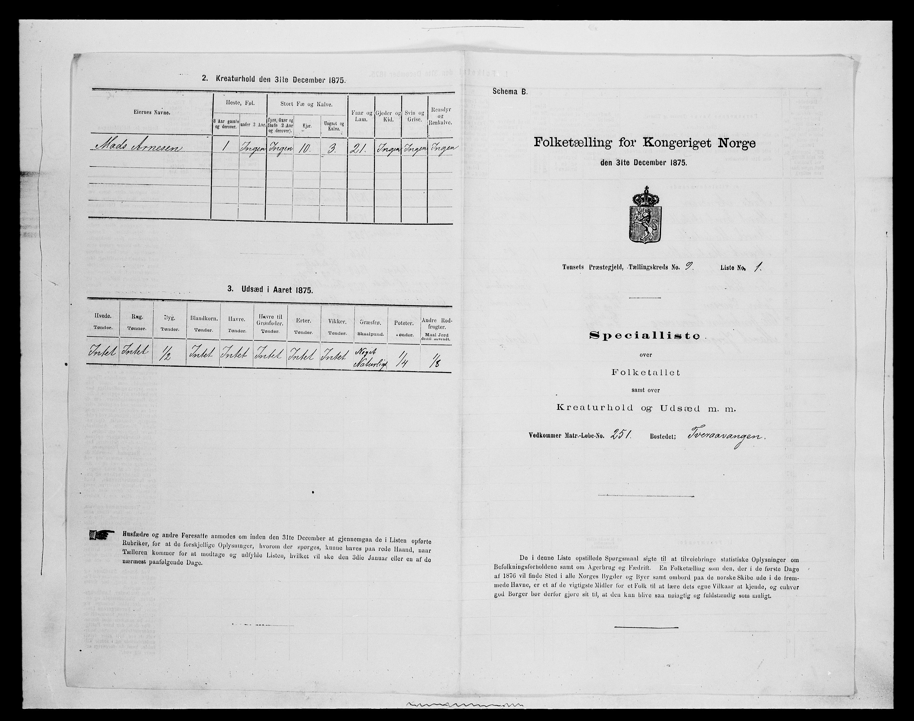 SAH, 1875 census for 0437P Tynset, 1875, p. 905