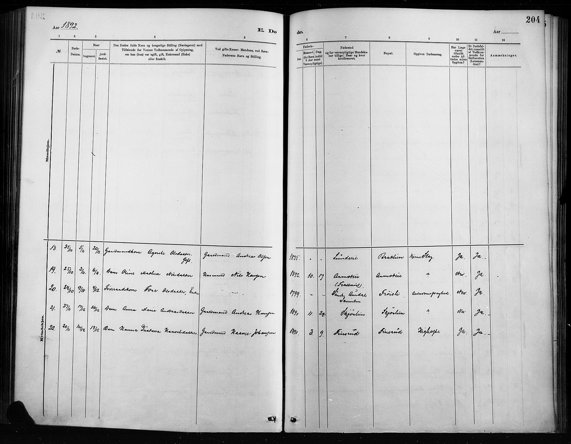 Nordre Land prestekontor, SAH/PREST-124/H/Ha/Haa/L0004: Parish register (official) no. 4, 1882-1896, p. 204