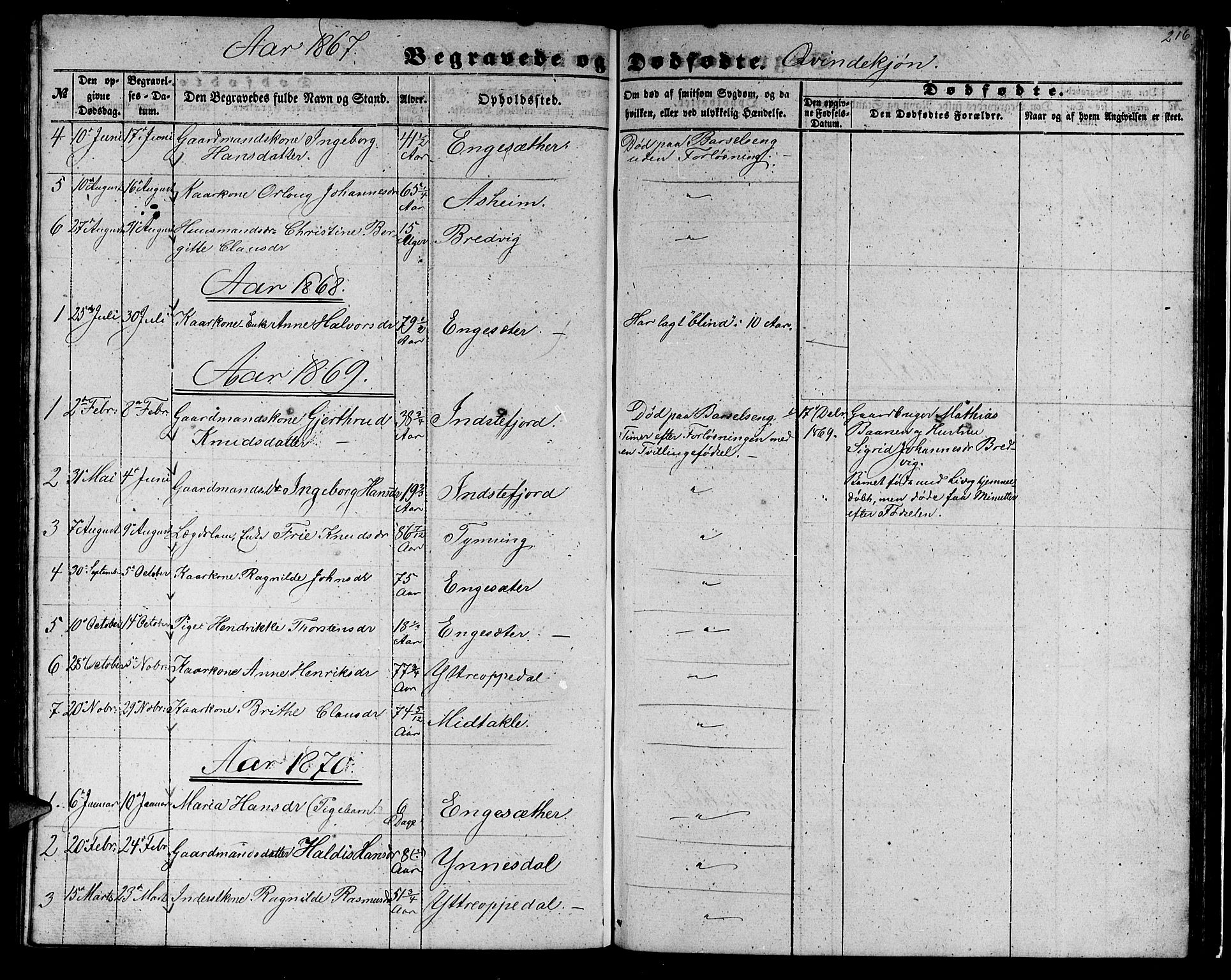 Gulen sokneprestembete, AV/SAB-A-80201/H/Hab/Habc/L0001: Parish register (copy) no. C 1, 1853-1880, p. 216