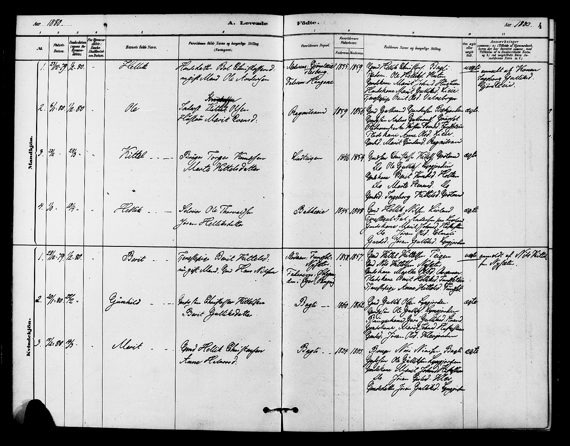 Flesberg kirkebøker, AV/SAKO-A-18/F/Fc/L0001: Parish register (official) no. III 1, 1879-1905, p. 4