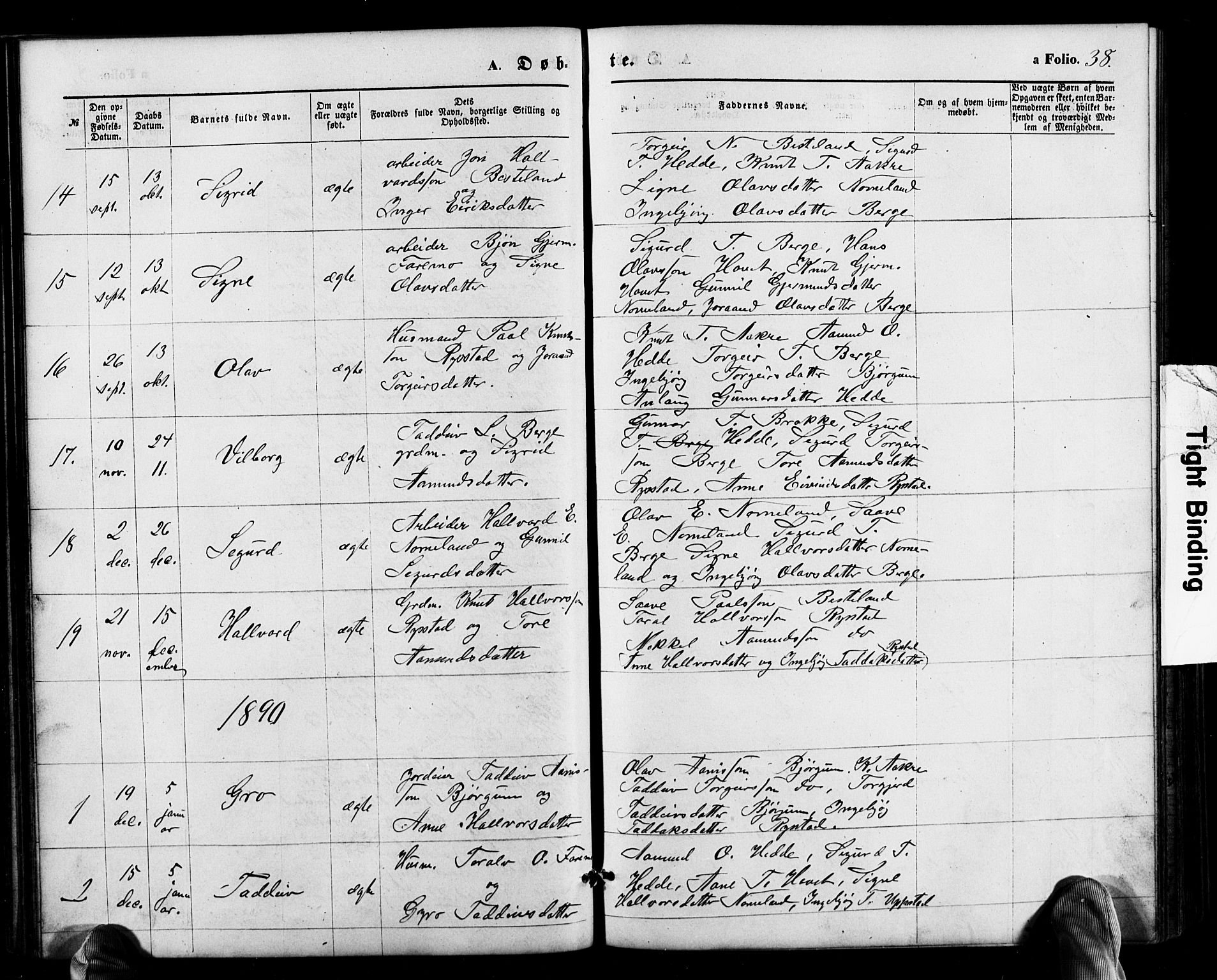 Valle sokneprestkontor, AV/SAK-1111-0044/F/Fb/Fbb/L0002: Parish register (copy) no. B 2, 1875-1921, p. 38