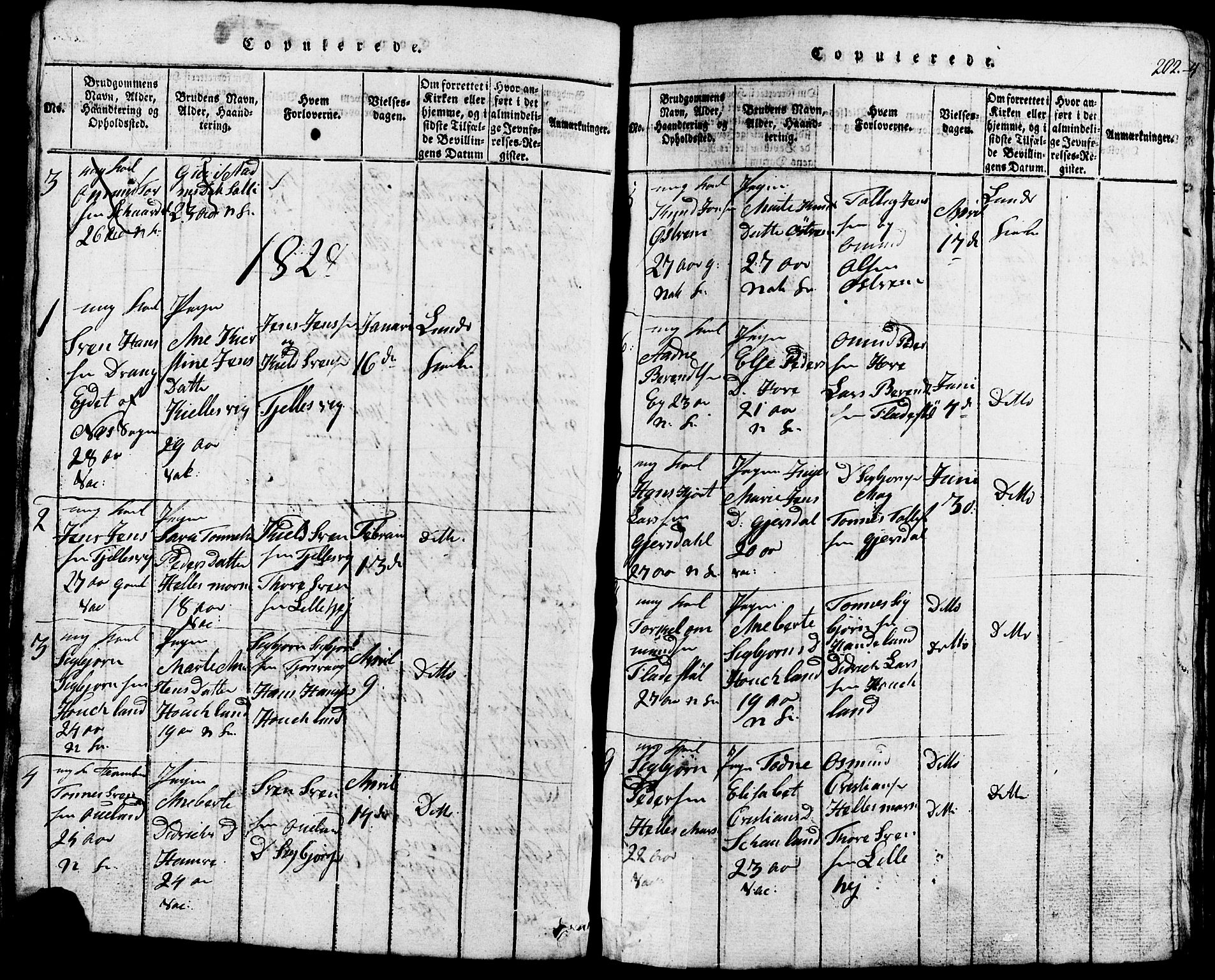Lund sokneprestkontor, SAST/A-101809/S07/L0002: Parish register (copy) no. B 2, 1816-1832, p. 202