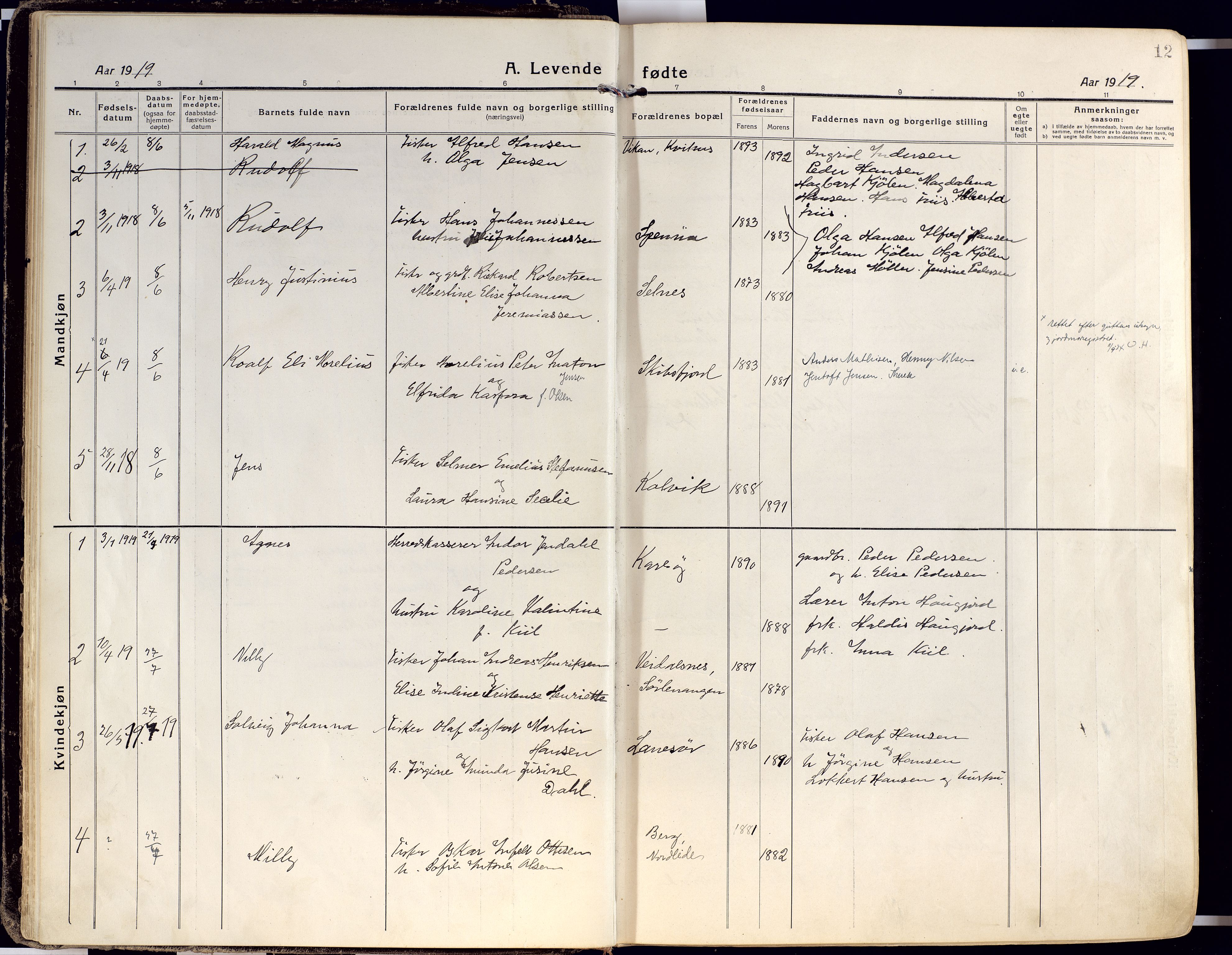 Karlsøy sokneprestembete, SATØ/S-1299/H/Ha/Haa/L0015kirke: Parish register (official) no. 15, 1918-1929, p. 12