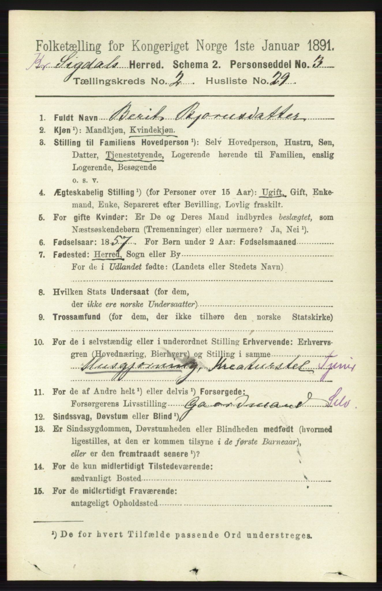 RA, 1891 census for 0621 Sigdal, 1891, p. 5512