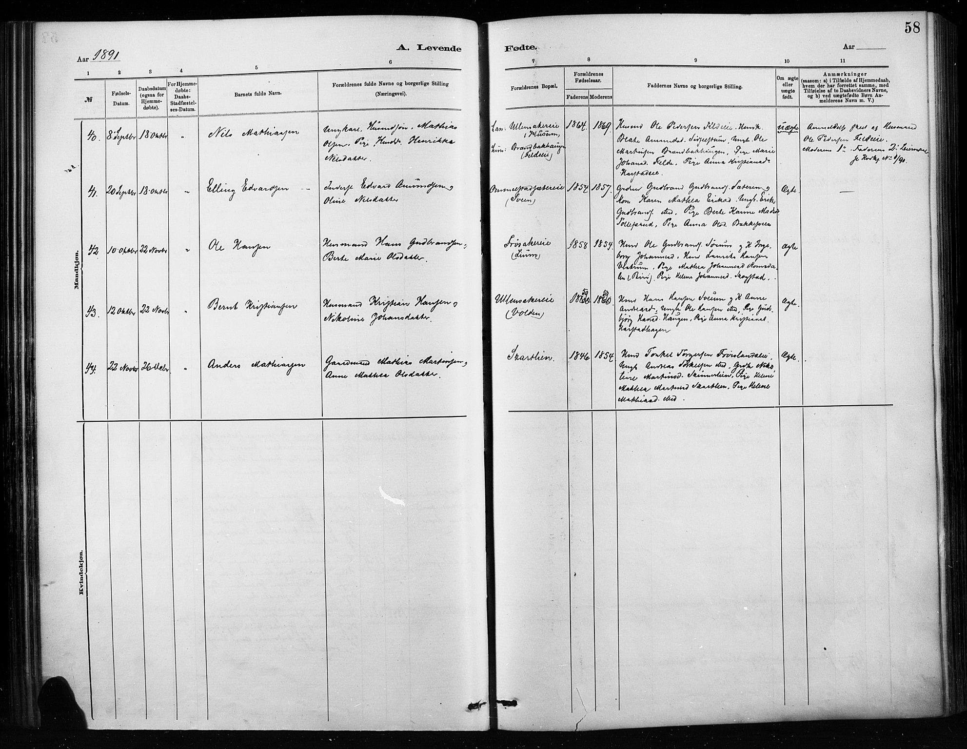Nordre Land prestekontor, SAH/PREST-124/H/Ha/Haa/L0004: Parish register (official) no. 4, 1882-1896, p. 58