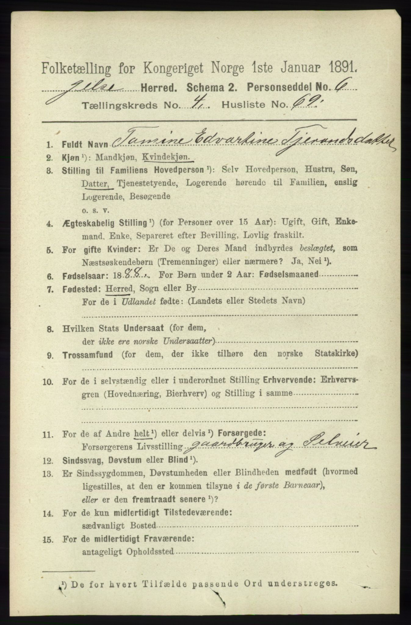 RA, 1891 census for 1138 Jelsa, 1891, p. 1038