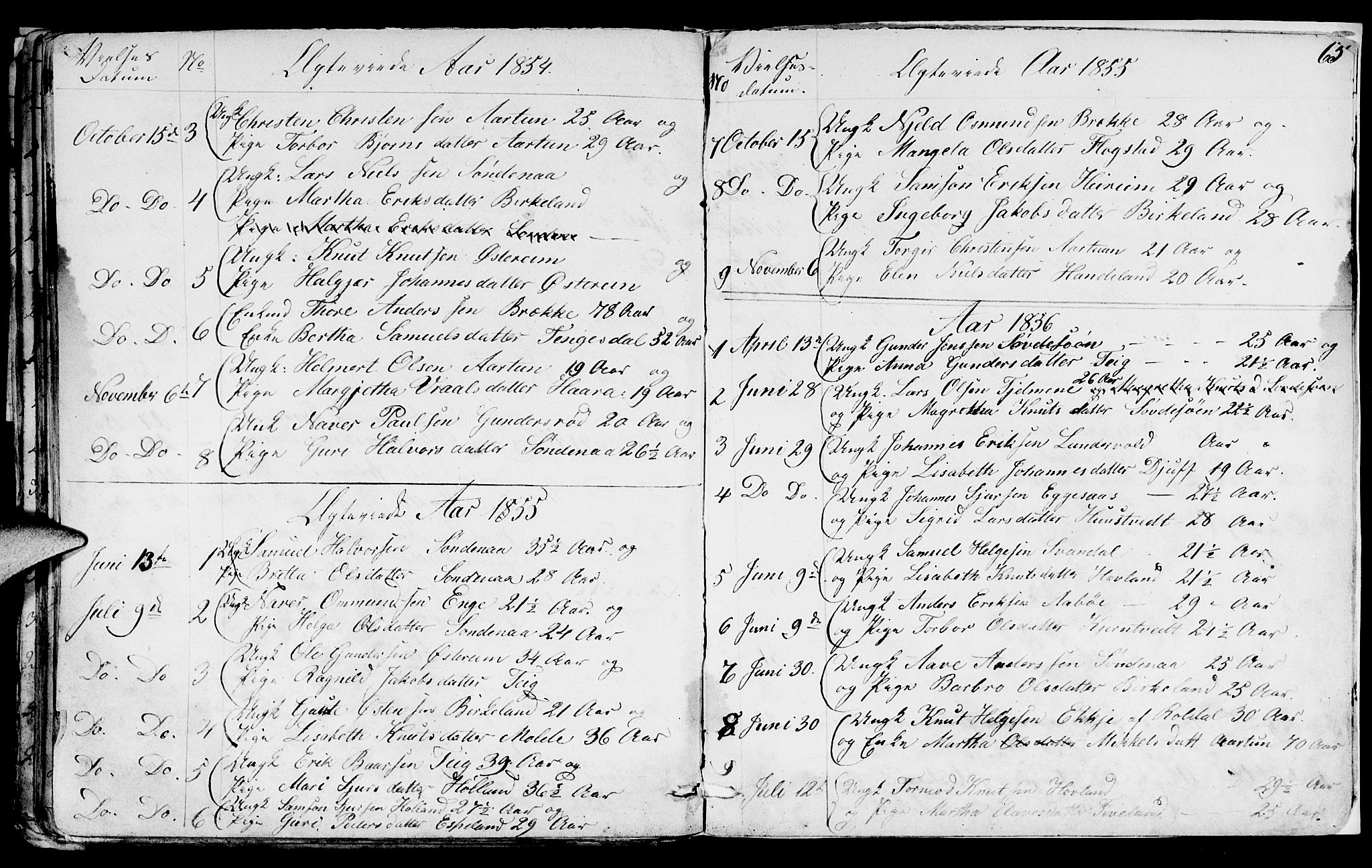 Sand sokneprestkontor, AV/SAST-A-101848/01/IV/L0001: Parish register (copy) no. B 1, 1848-1865, p. 65