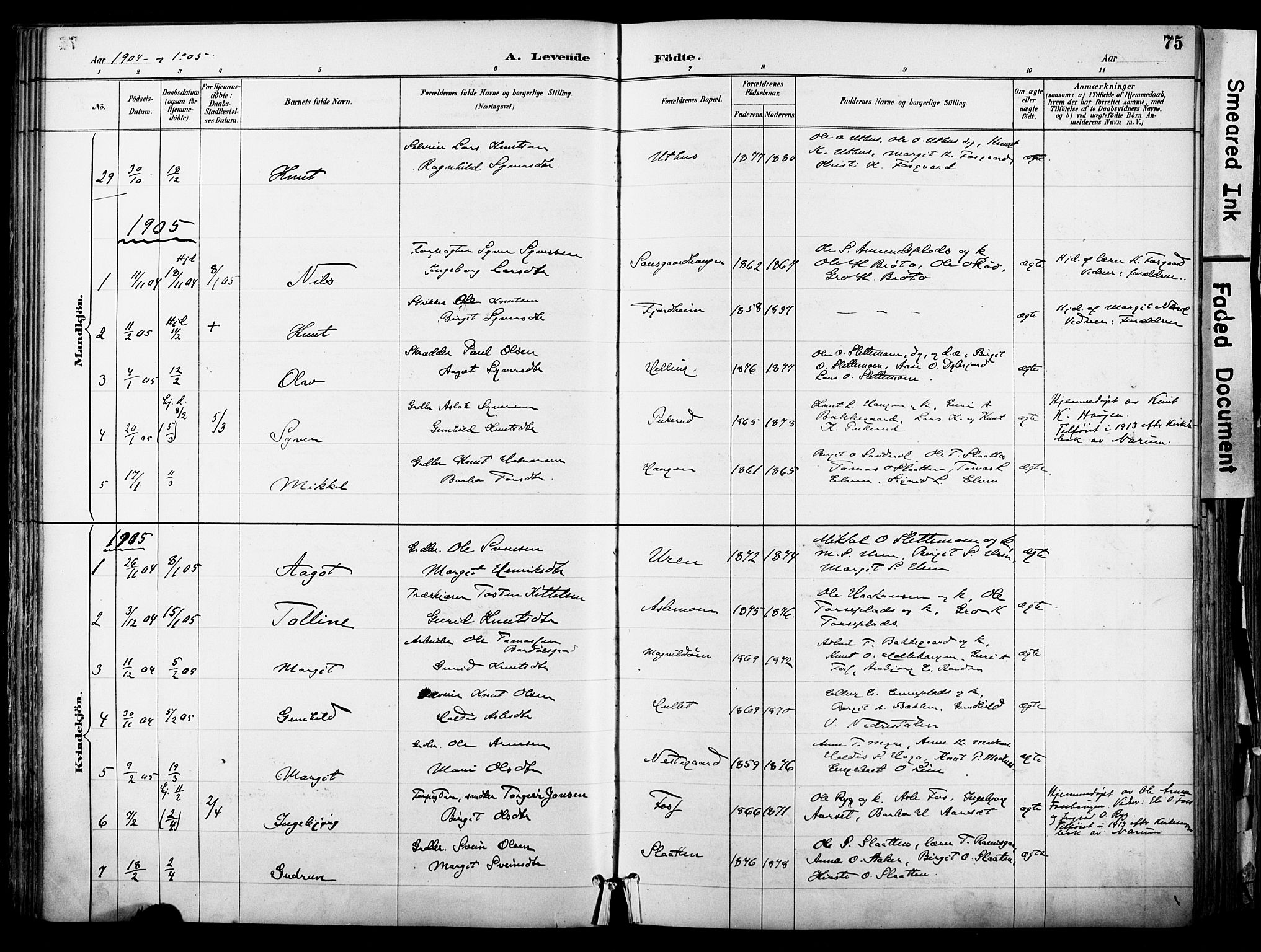 Hol kirkebøker, AV/SAKO-A-227/F/Fa/L0003: Parish register (official) no. I 3, 1887-1918, p. 75