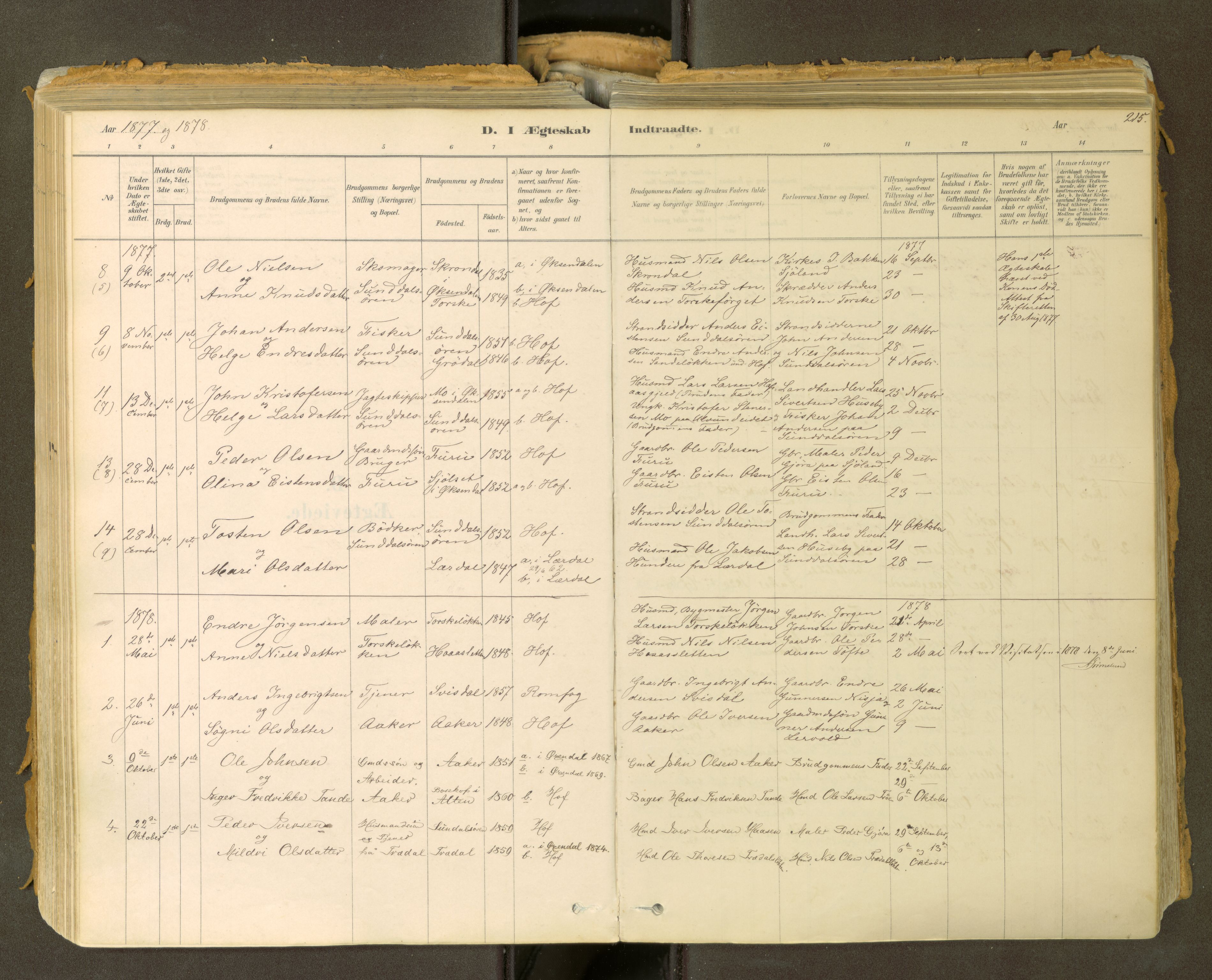 Sunndal sokneprestkontor, SAT/A-1085/1/I/I1/I1a: Parish register (official) no. 2, 1877-1914, p. 215