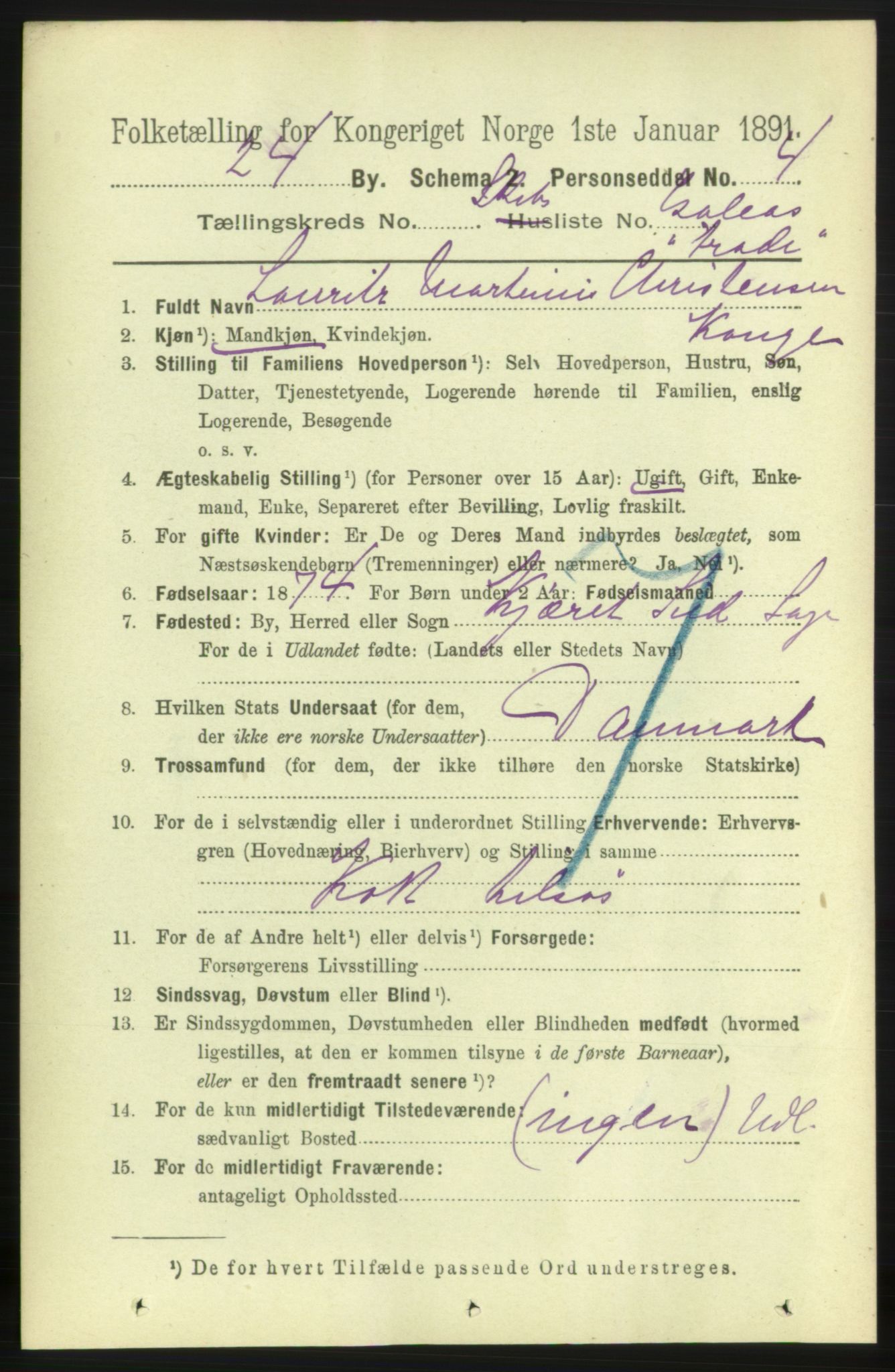 RA, 1891 census for 0707 Larvik, 1891, p. 13949