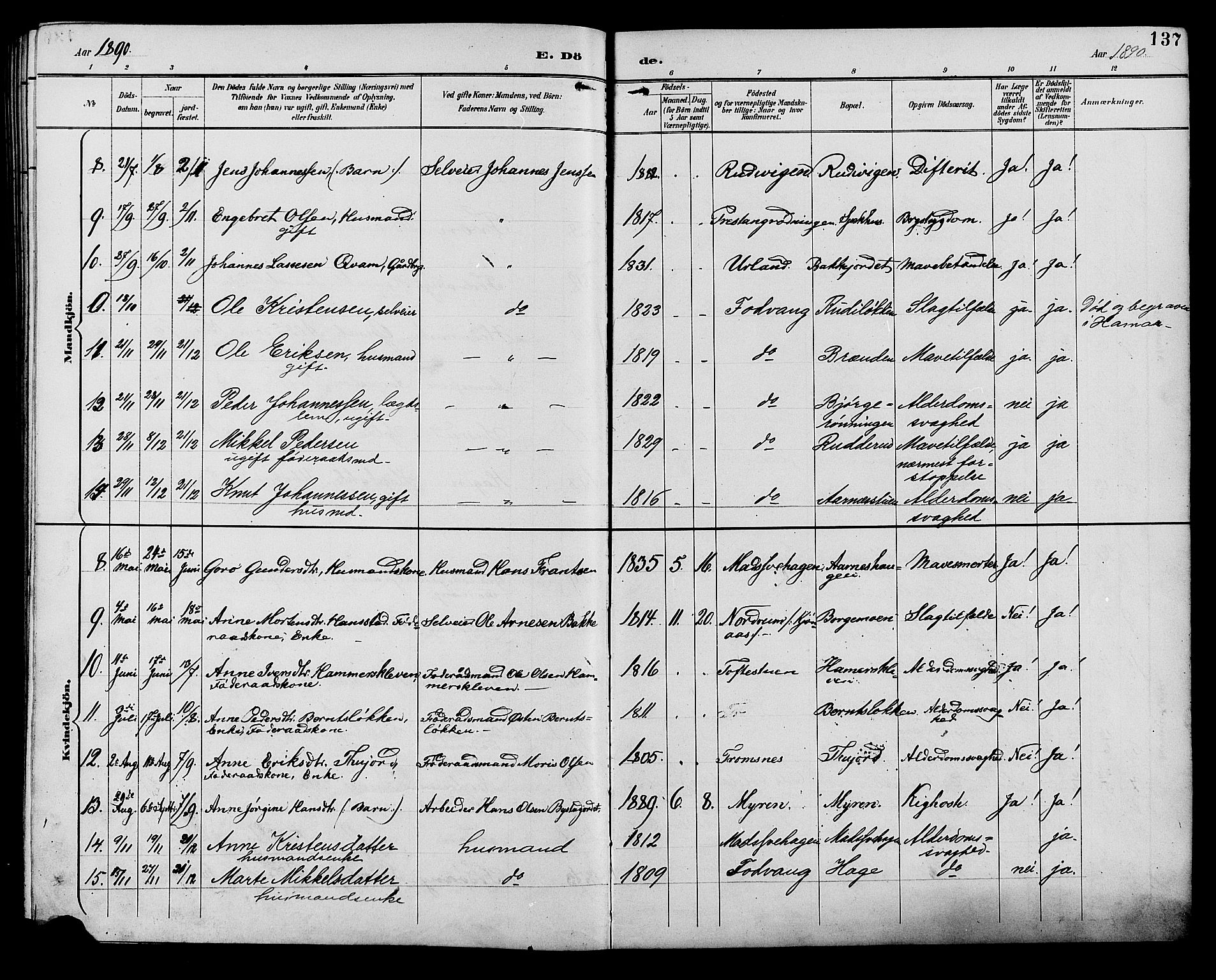 Ringebu prestekontor, AV/SAH-PREST-082/H/Ha/Hab/L0007: Parish register (copy) no. 7, 1890-1910, p. 137