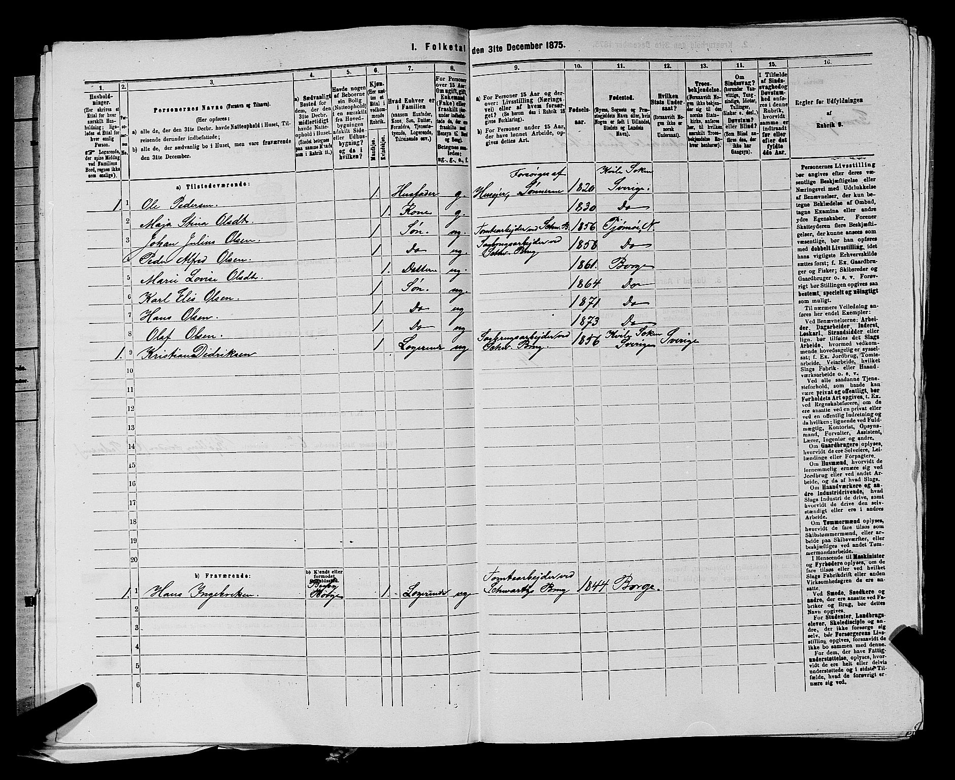 RA, 1875 census for 0113P Borge, 1875, p. 207