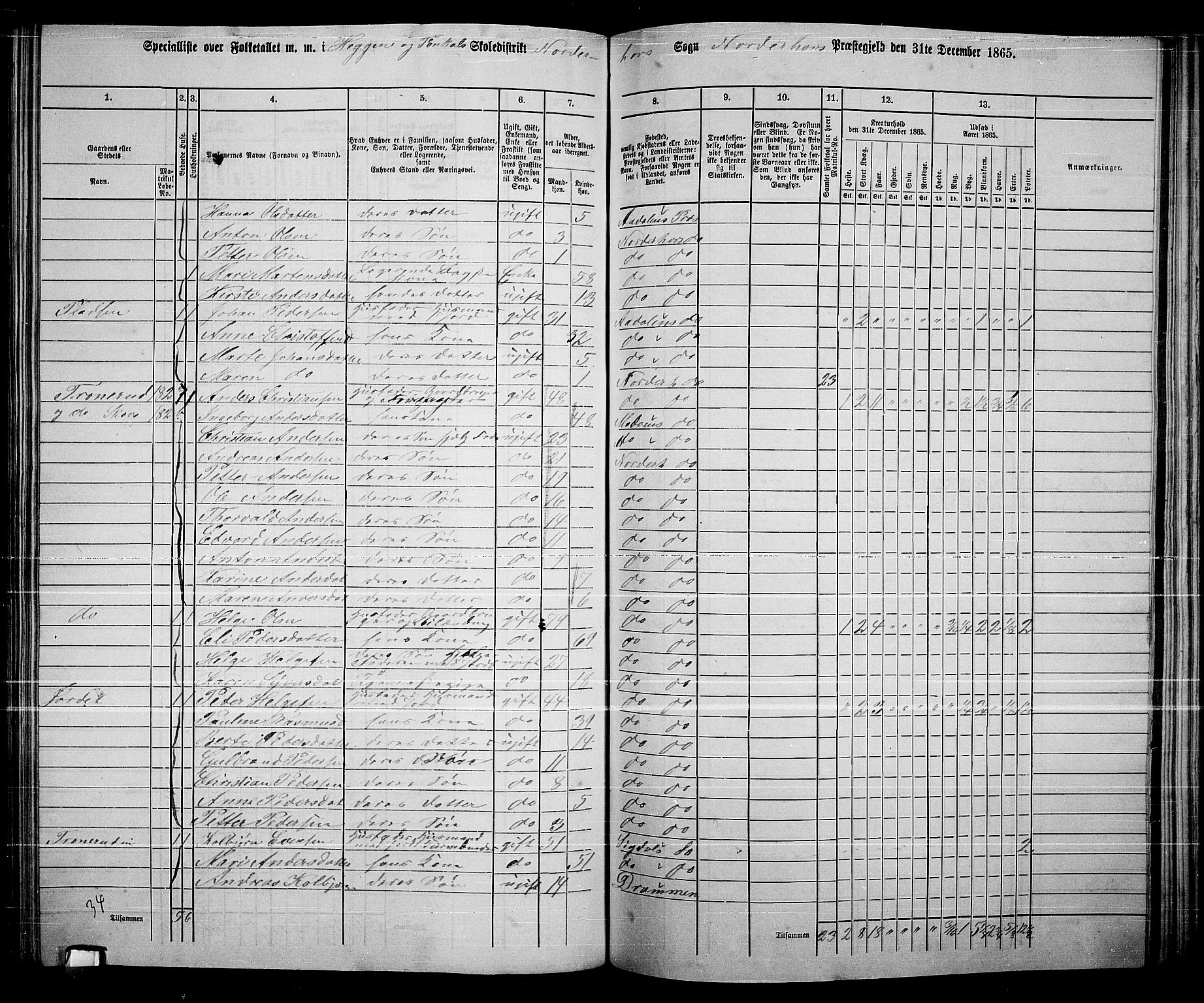 RA, 1865 census for Norderhov/Norderhov, Haug og Lunder, 1865, p. 205