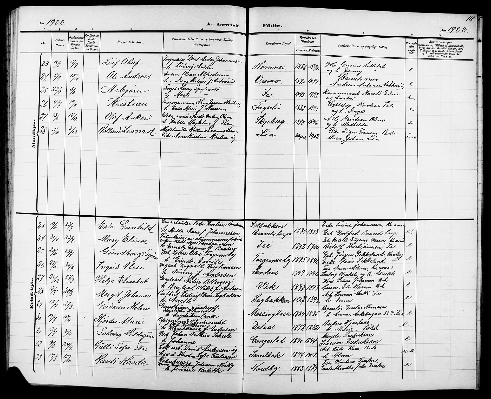 Skjeberg prestekontor Kirkebøker, SAO/A-10923/G/Ga/L0002: Parish register (copy) no. I 2, 1901-1924, p. 118