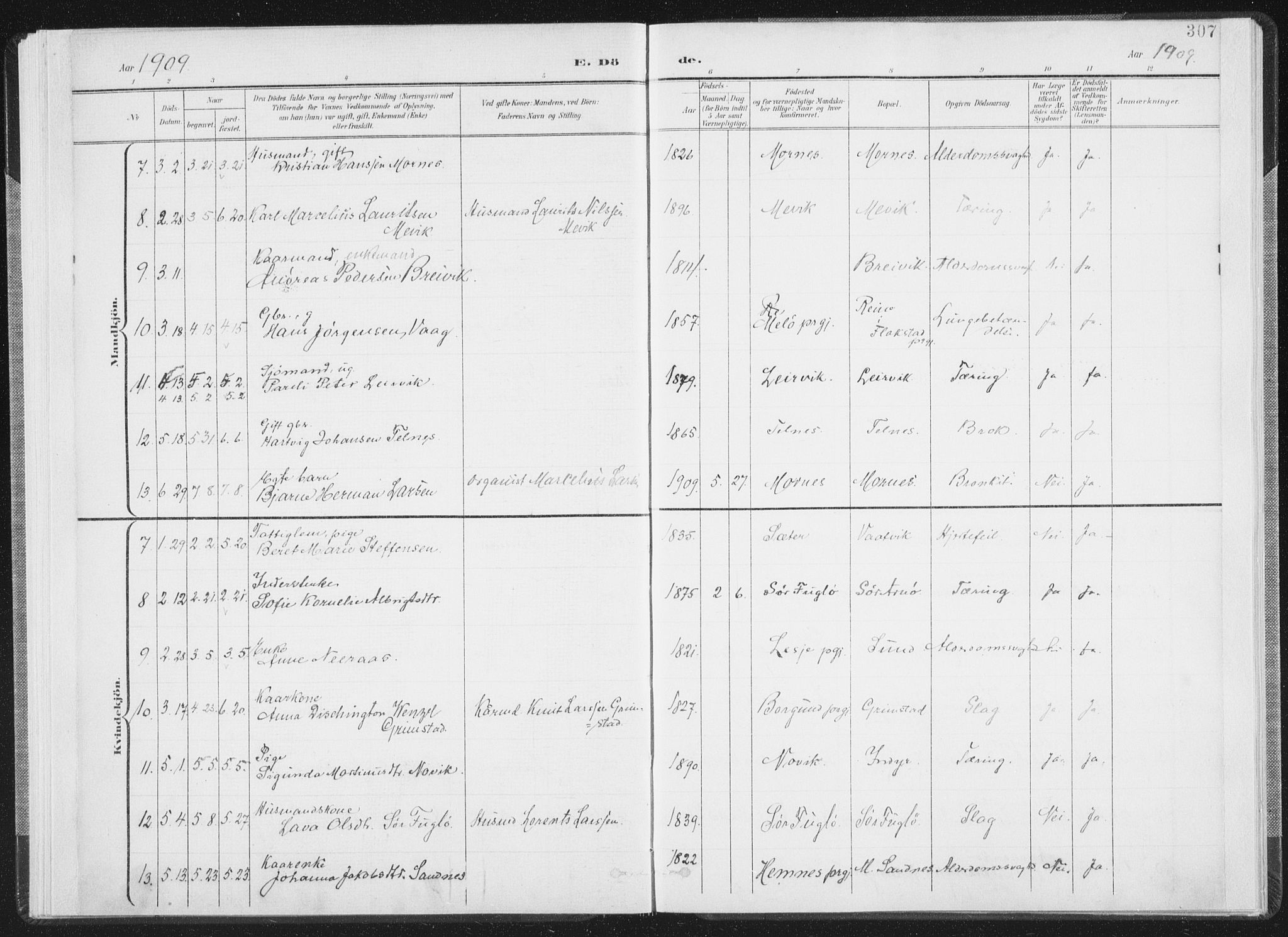 Ministerialprotokoller, klokkerbøker og fødselsregistre - Nordland, SAT/A-1459/805/L0103: Parish register (official) no. 805A08II, 1900-1909, p. 307