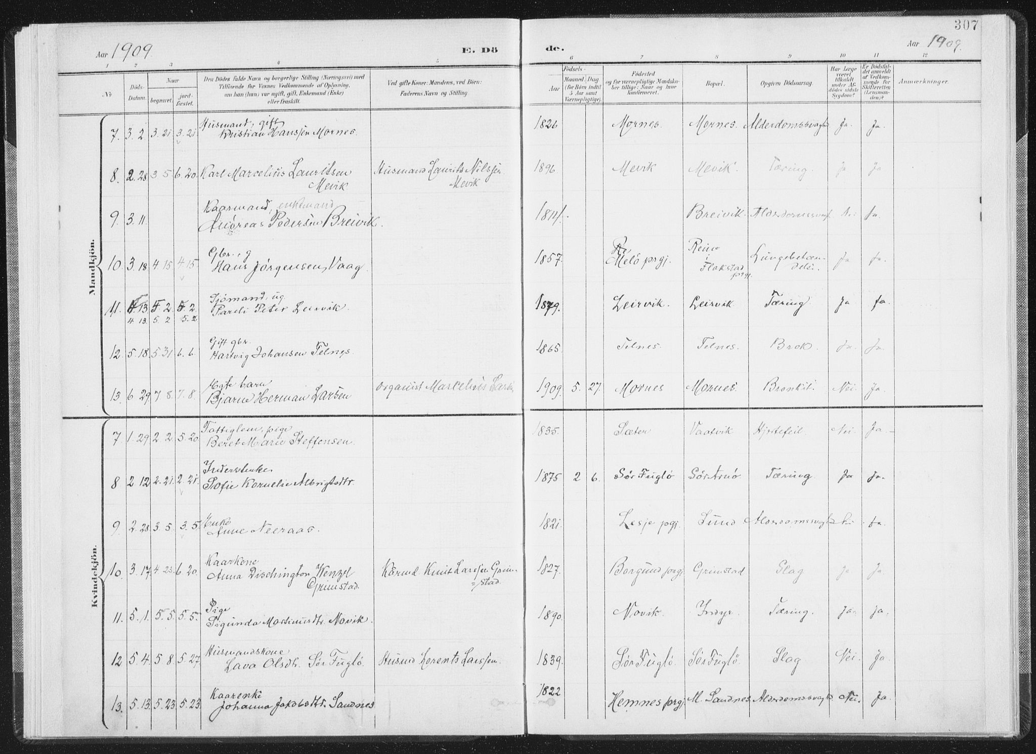 Ministerialprotokoller, klokkerbøker og fødselsregistre - Nordland, AV/SAT-A-1459/805/L0103: Parish register (official) no. 805A08II, 1900-1909, p. 307