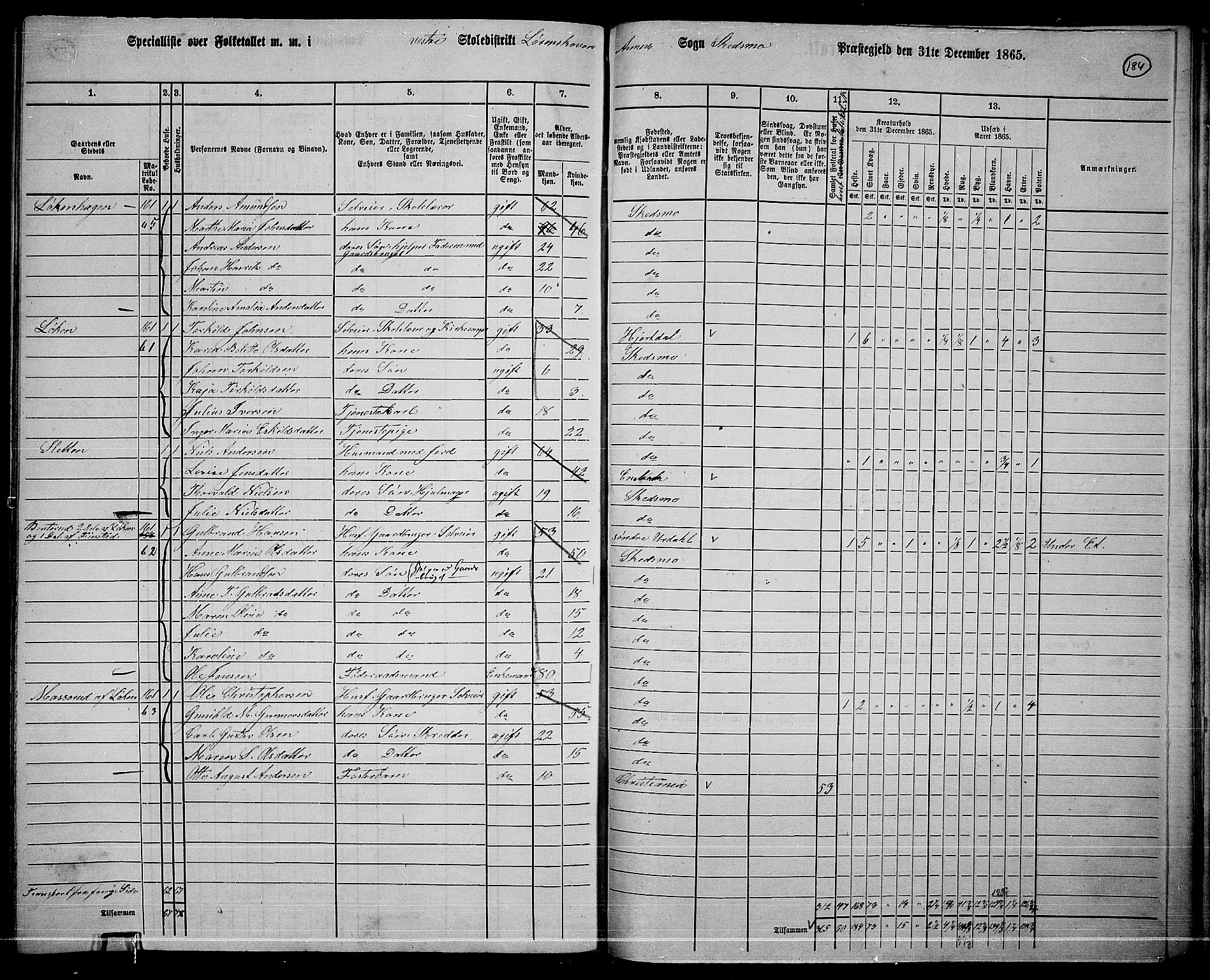 RA, 1865 census for Skedsmo, 1865, p. 163