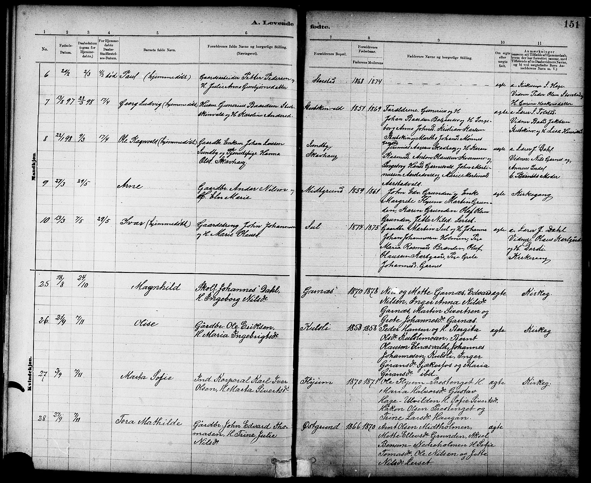 Ministerialprotokoller, klokkerbøker og fødselsregistre - Nord-Trøndelag, AV/SAT-A-1458/724/L0267: Parish register (copy) no. 724C03, 1879-1898, p. 151