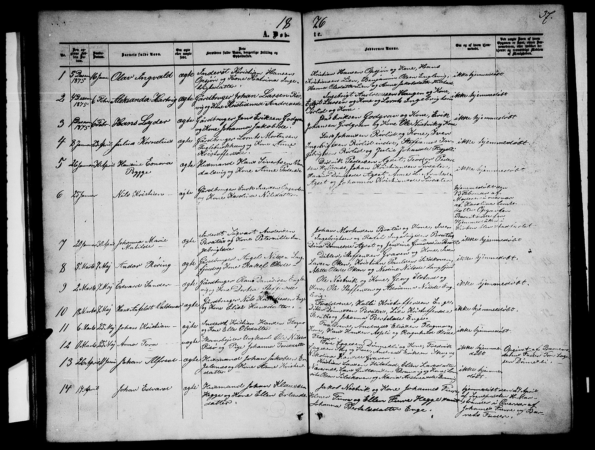 Ministerialprotokoller, klokkerbøker og fødselsregistre - Nordland, AV/SAT-A-1459/814/L0229: Parish register (copy) no. 814C02, 1859-1883, p. 37