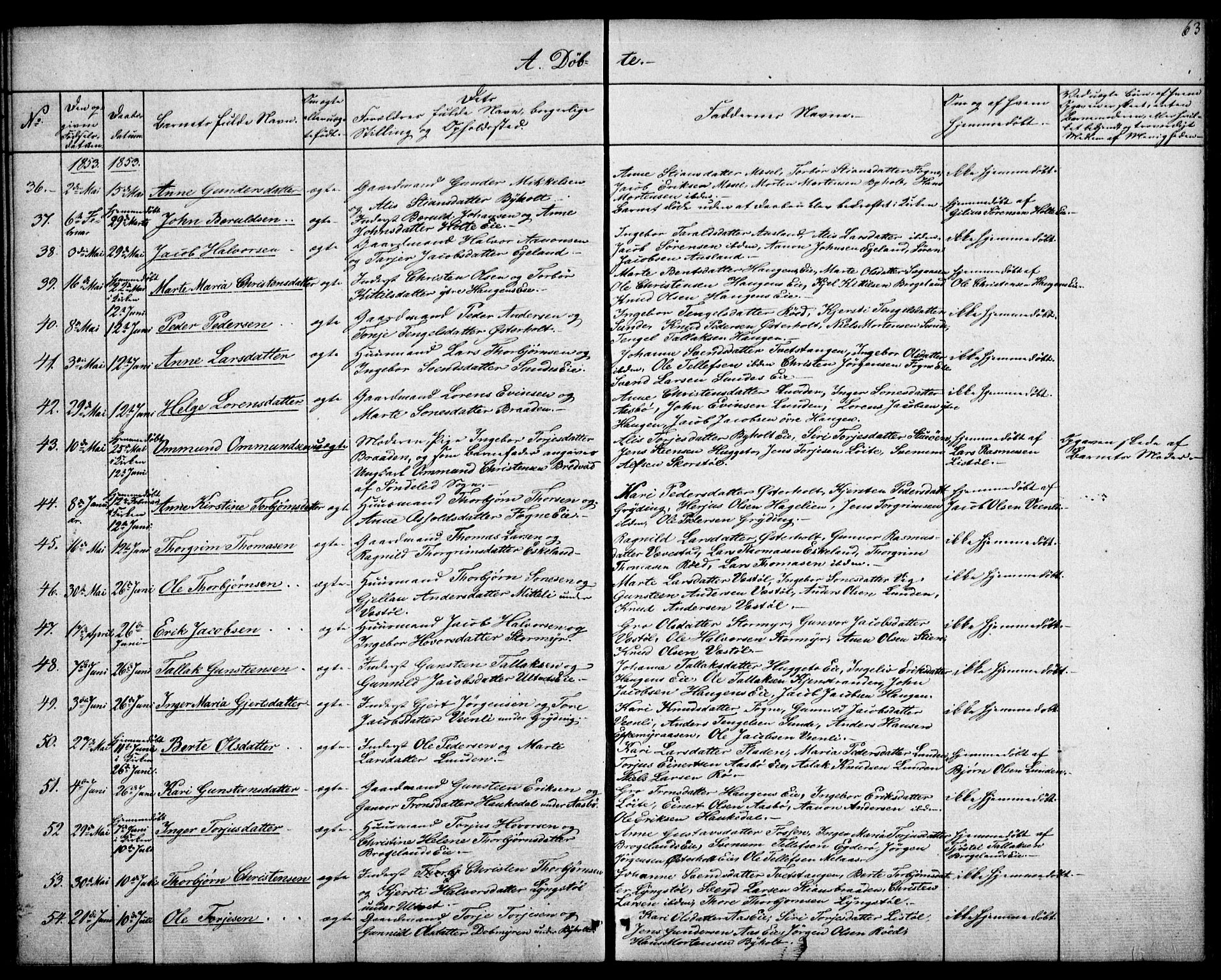 Gjerstad sokneprestkontor, SAK/1111-0014/F/Fa/Faa/L0006: Parish register (official) no. A 6, 1841-1857, p. 63