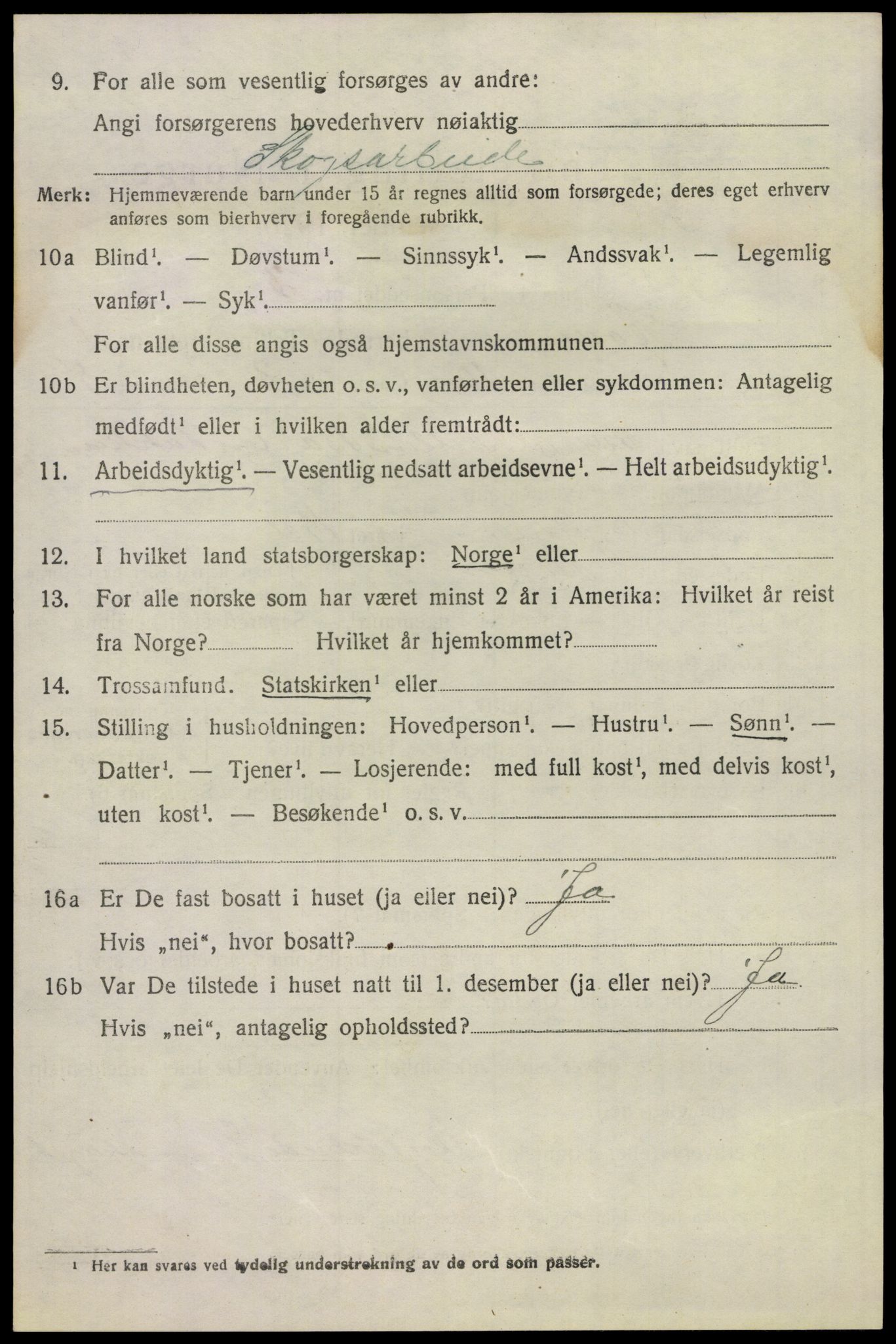 SAKO, 1920 census for Hovin, 1920, p. 470