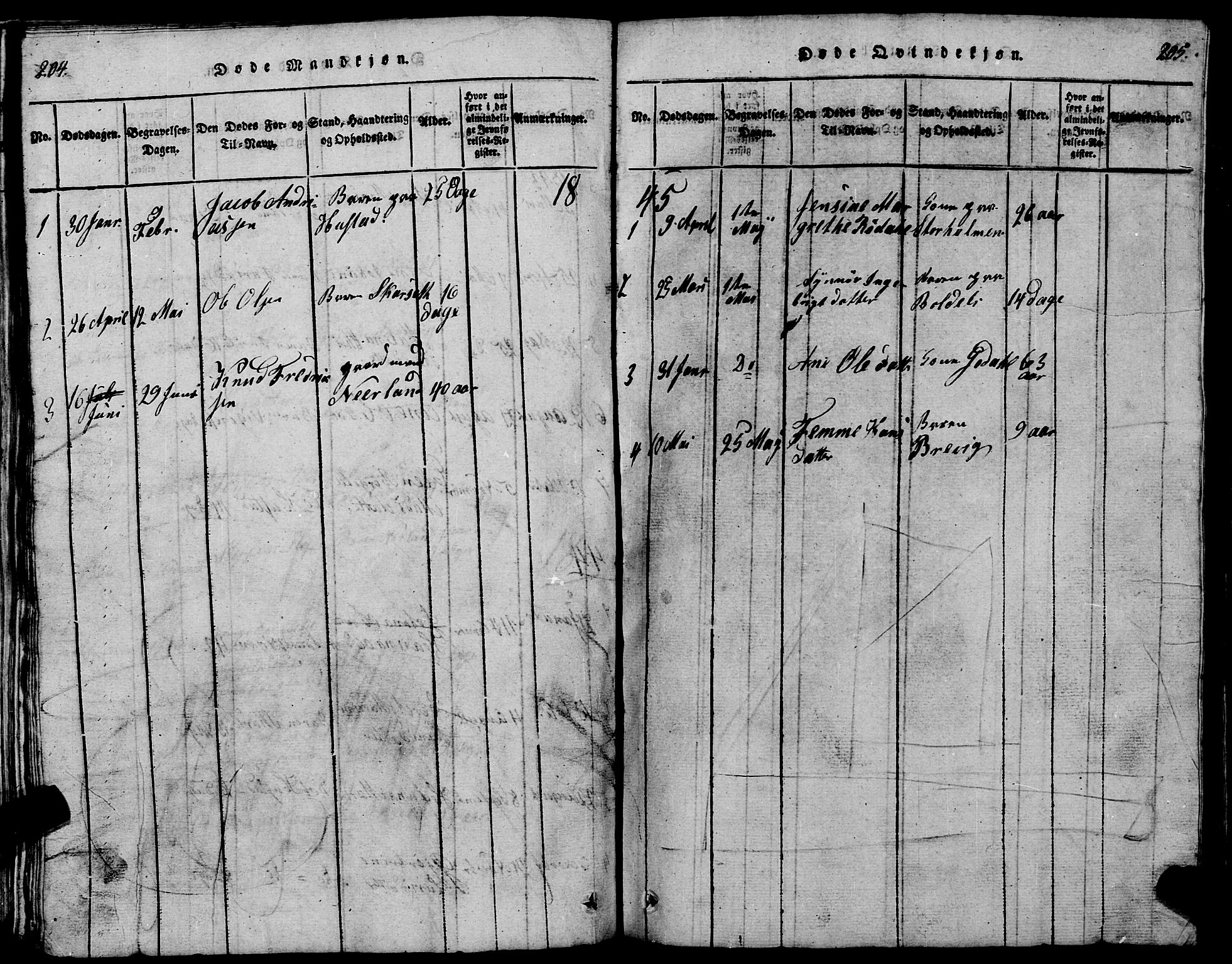 Ministerialprotokoller, klokkerbøker og fødselsregistre - Møre og Romsdal, AV/SAT-A-1454/567/L0781: Parish register (copy) no. 567C01, 1818-1845, p. 204-205