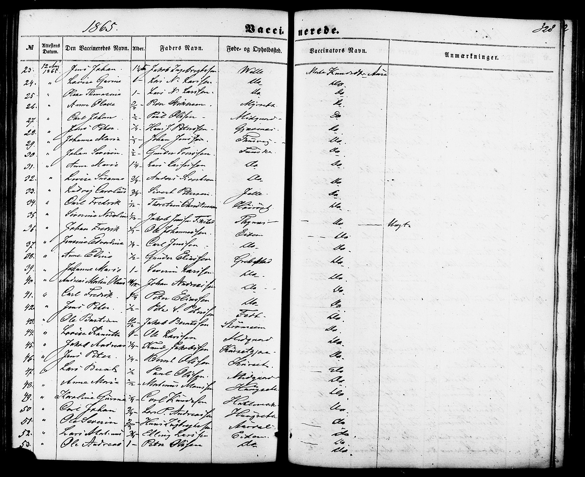 Ministerialprotokoller, klokkerbøker og fødselsregistre - Møre og Romsdal, AV/SAT-A-1454/522/L0314: Parish register (official) no. 522A09, 1863-1877, p. 328