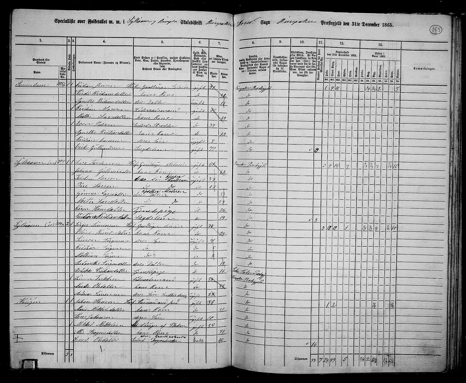 RA, 1865 census for Ringsaker, 1865, p. 397