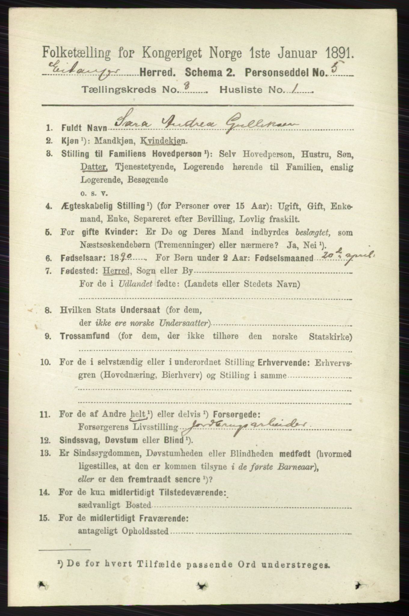 RA, 1891 census for 0813 Eidanger, 1891, p. 2991