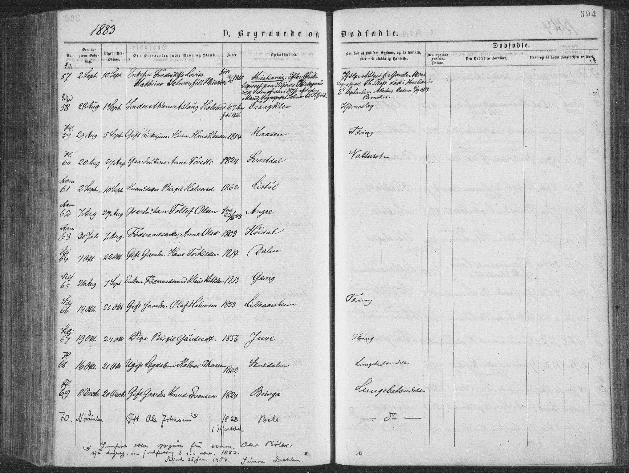 Seljord kirkebøker, SAKO/A-20/F/Fa/L0014: Parish register (official) no. I 14, 1877-1886, p. 394