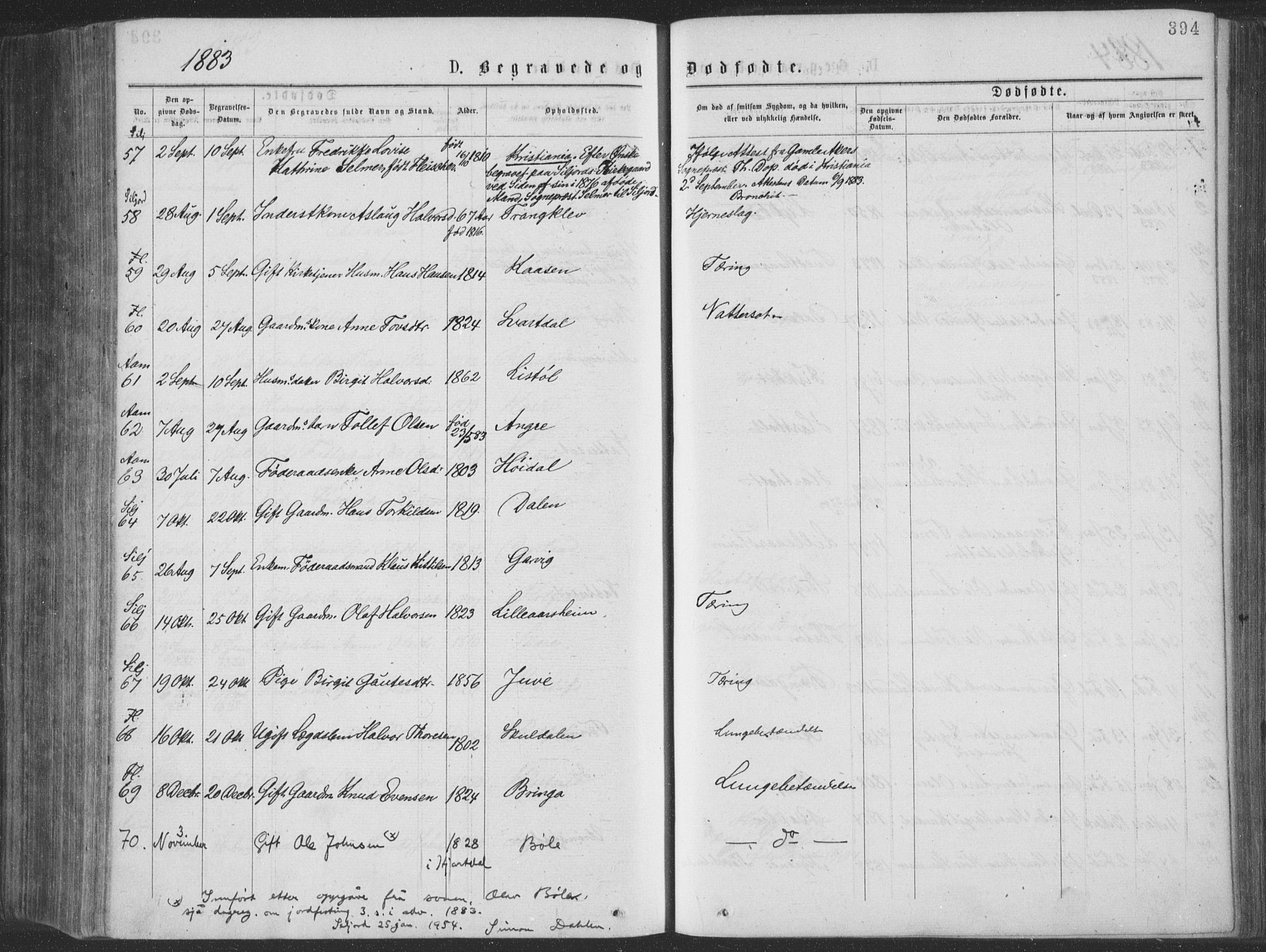 Seljord kirkebøker, AV/SAKO-A-20/F/Fa/L0014: Parish register (official) no. I 14, 1877-1886, p. 394