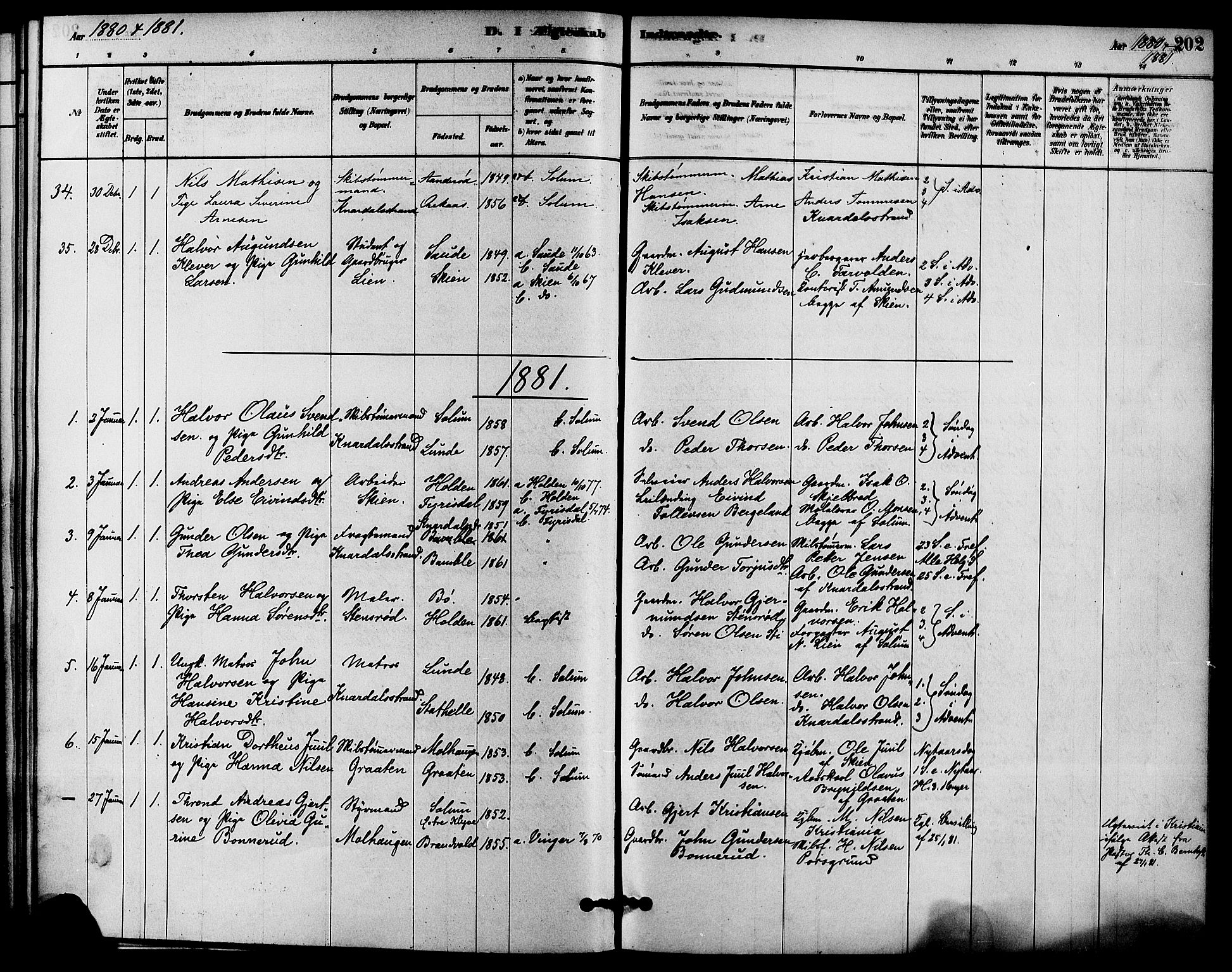 Solum kirkebøker, SAKO/A-306/F/Fa/L0009: Parish register (official) no. I 9, 1877-1887, p. 202