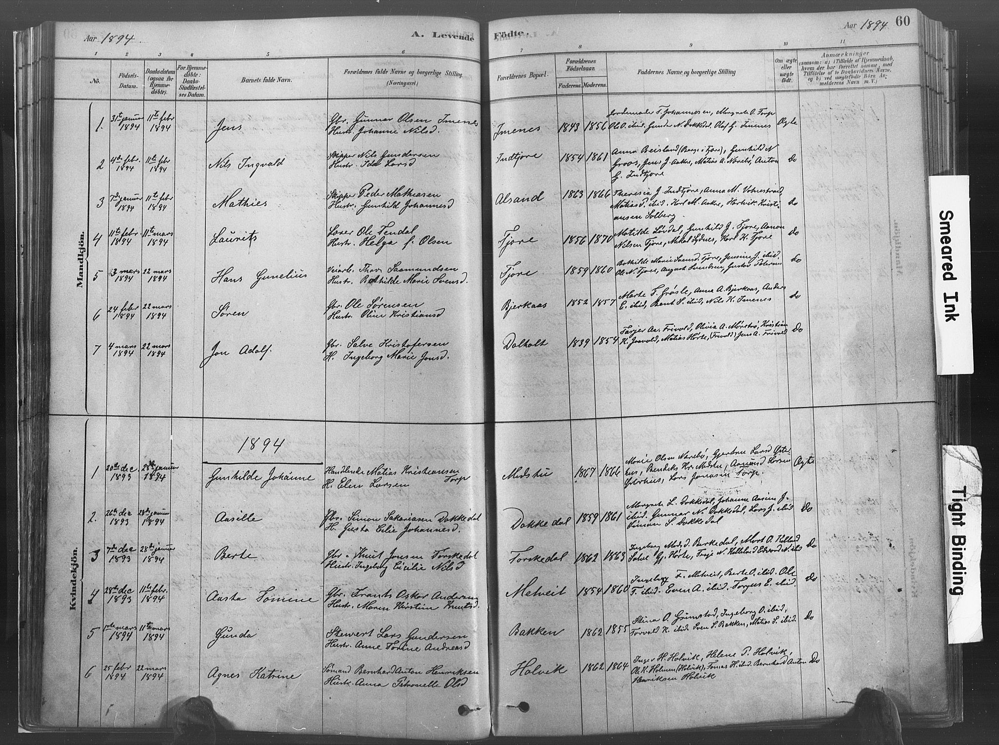 Hommedal sokneprestkontor, SAK/1111-0023/F/Fa/Fab/L0006: Parish register (official) no. A 6, 1878-1897, p. 60