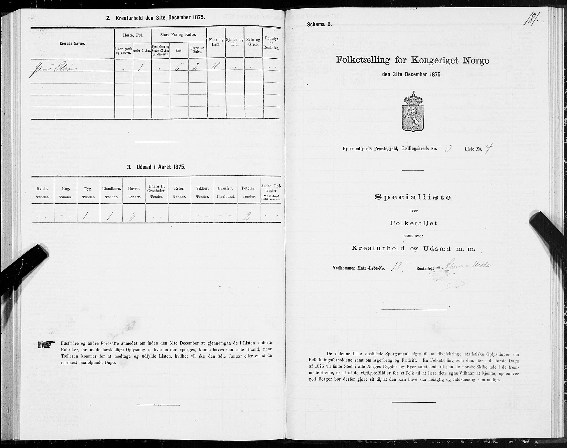 SAT, 1875 census for 1522P Hjørundfjord, 1875, p. 1181