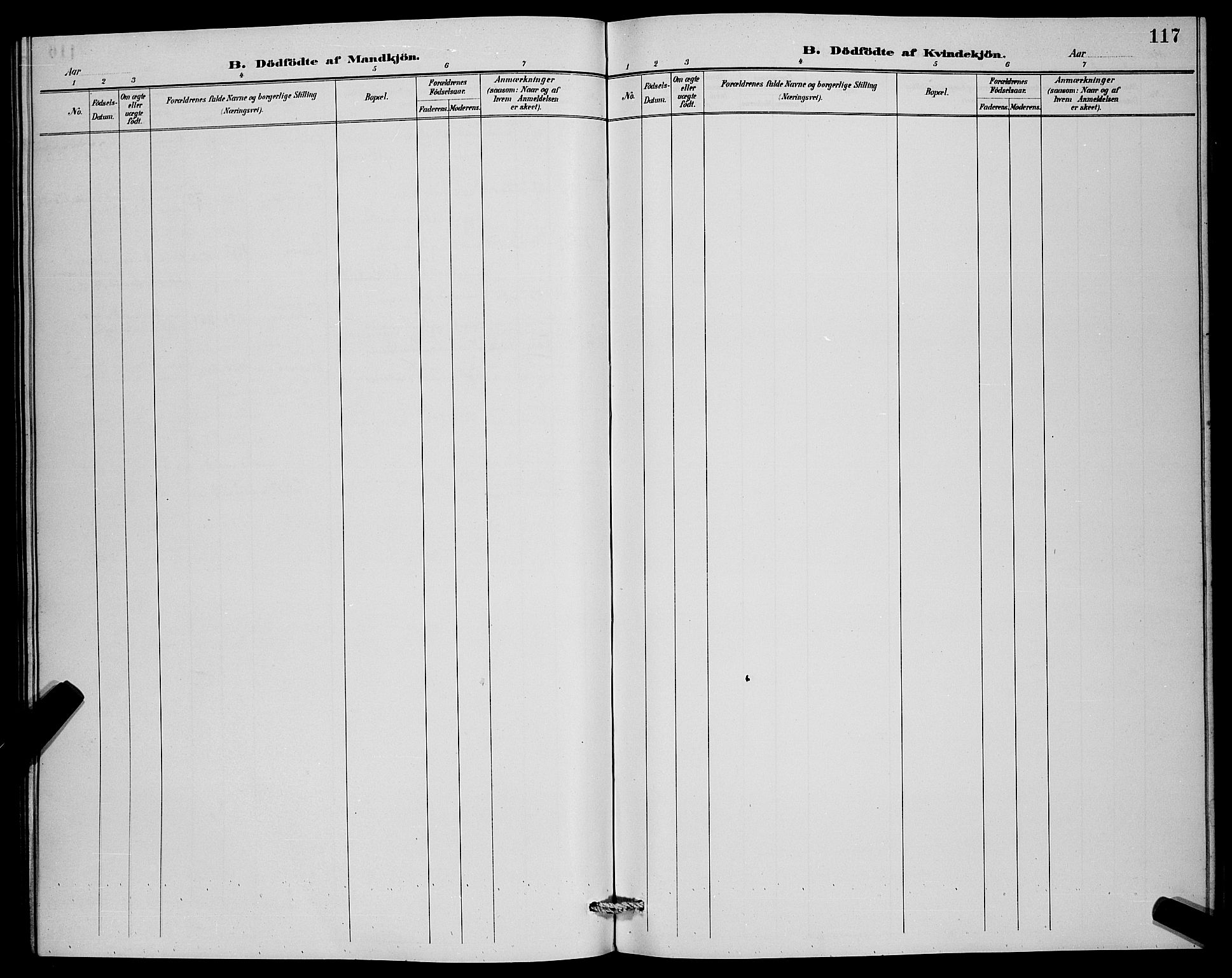 Lenvik sokneprestembete, AV/SATØ-S-1310/H/Ha/Hab/L0007klokker: Parish register (copy) no. 7, 1890-1898, p. 117