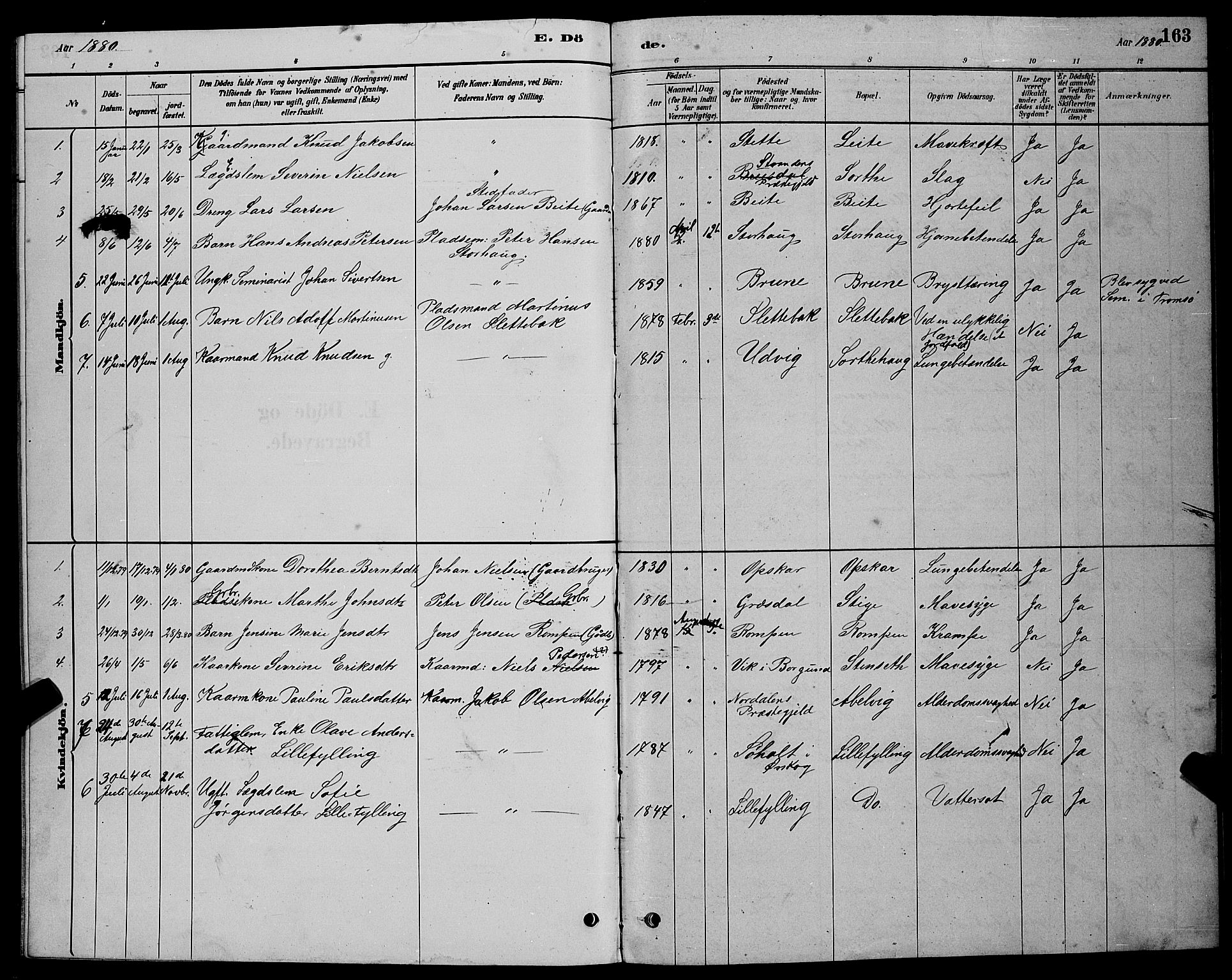 Ministerialprotokoller, klokkerbøker og fødselsregistre - Møre og Romsdal, SAT/A-1454/524/L0365: Parish register (copy) no. 524C06, 1880-1899, p. 163