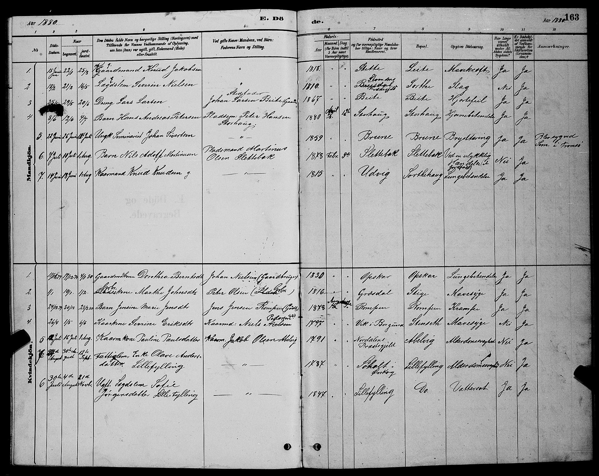 Ministerialprotokoller, klokkerbøker og fødselsregistre - Møre og Romsdal, AV/SAT-A-1454/524/L0365: Parish register (copy) no. 524C06, 1880-1899, p. 163