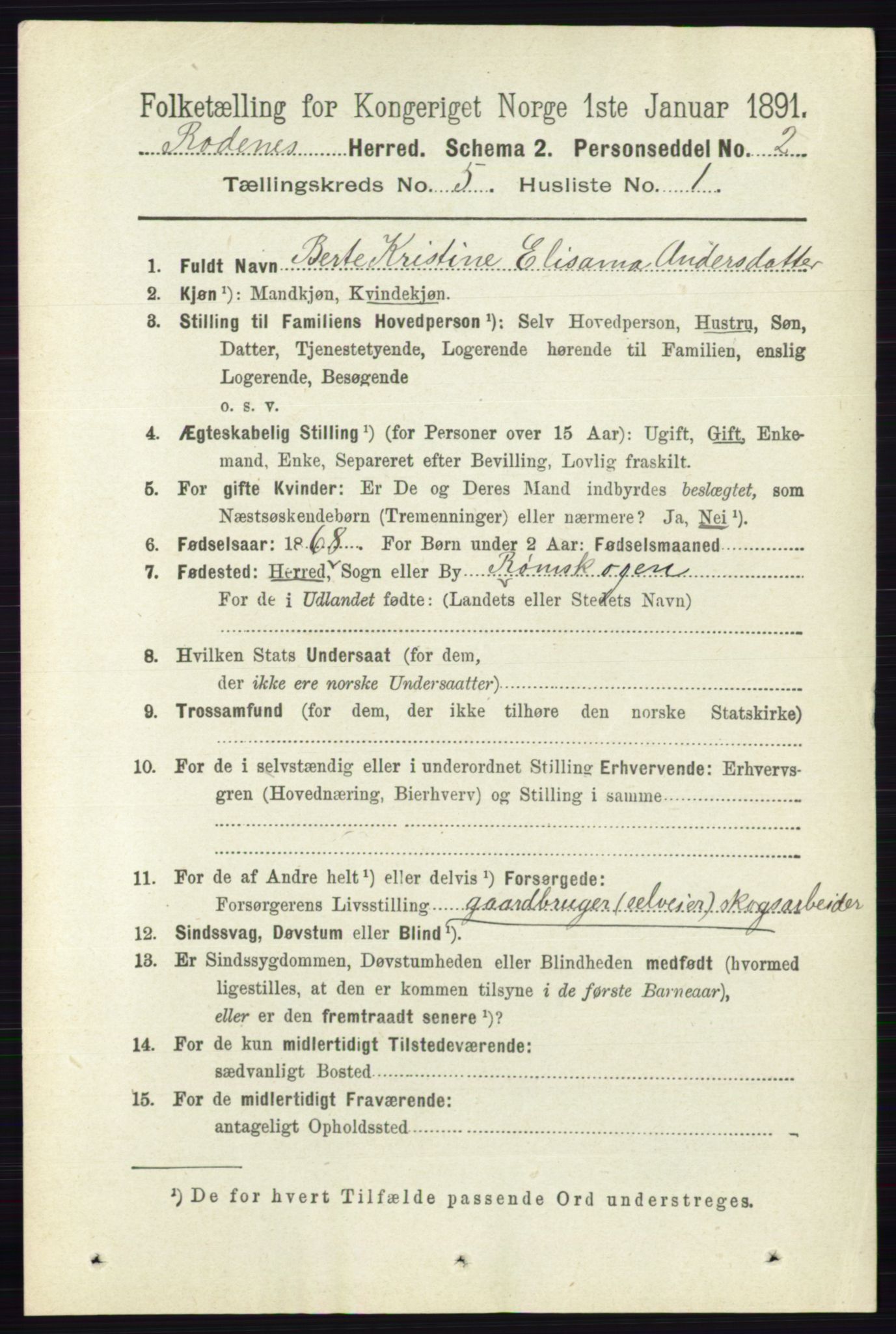 RA, 1891 census for 0120 Rødenes, 1891, p. 2097