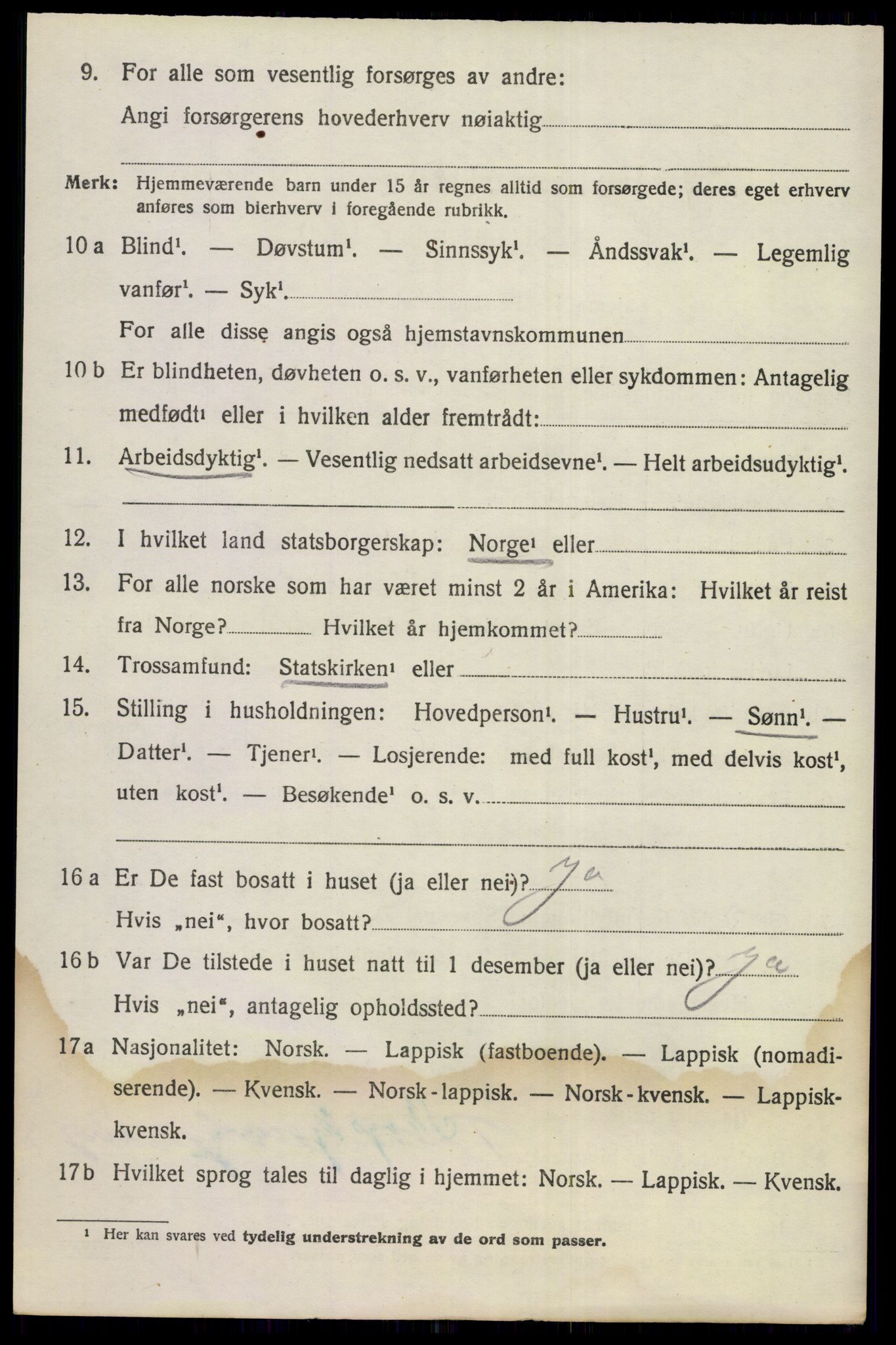 SAKO, 1920 census for Nes (Buskerud), 1920, p. 1921